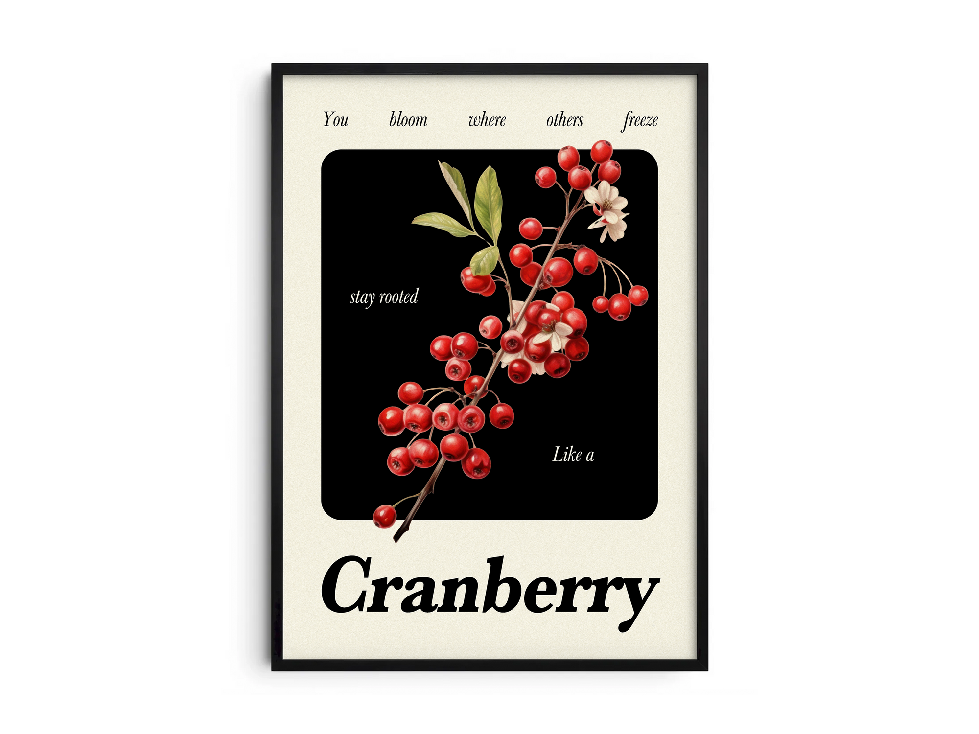 Minimalist botanical cranberry poster featuring a detailed fruit illustration with poetic text. Printed on semi-gloss sustainable paper. Perfect wall decor for kitchens, cozy spaces, or modern interiors that value natural beauty and quiet strength.