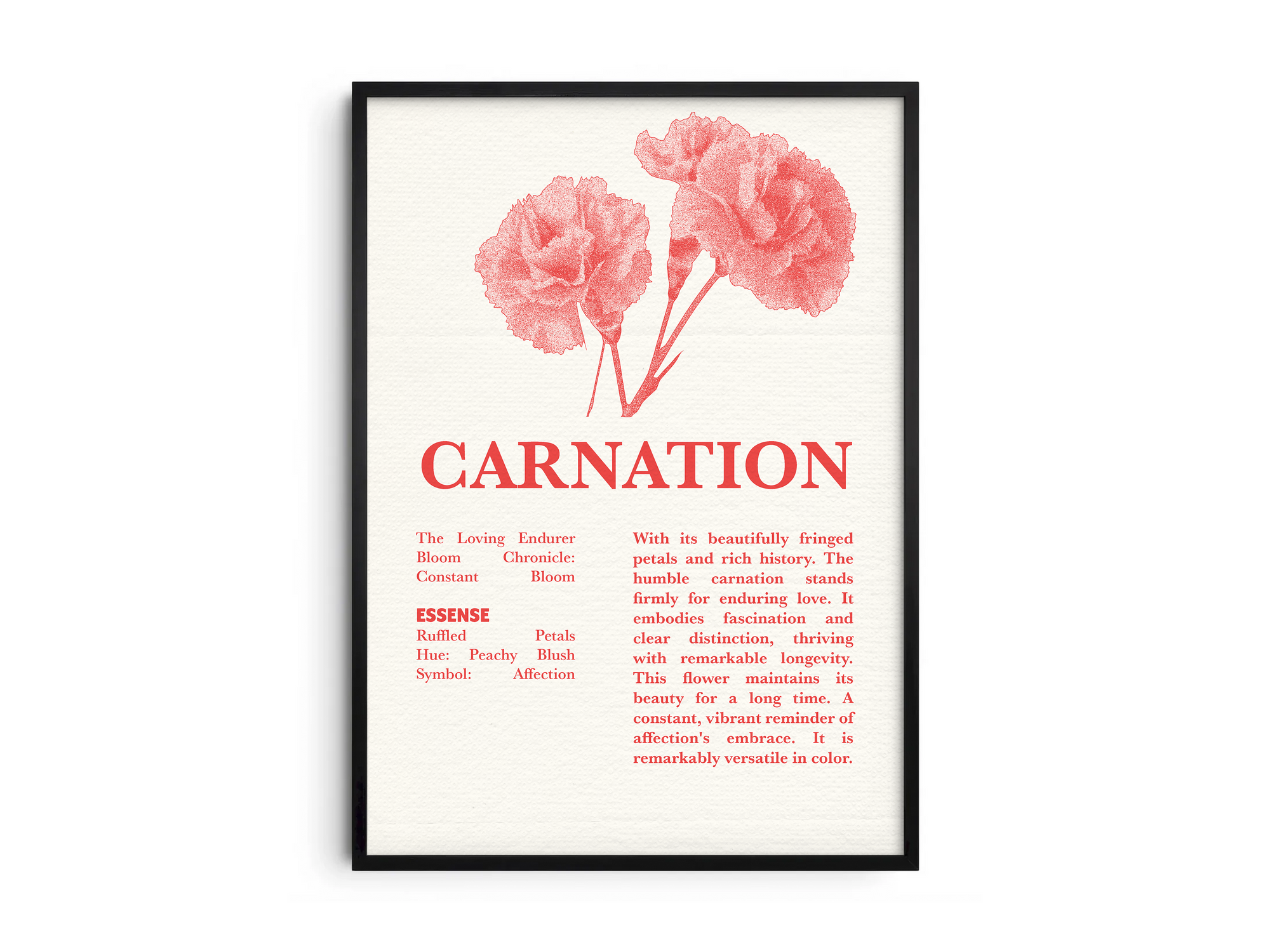 Vintage botanical carnation poster featuring a detailed flower illustration in vibrant red tones, printed on semi-gloss sustainable paper. Perfect wall art for living rooms, bedrooms, or modern interiors with a loving and natural aesthetic.