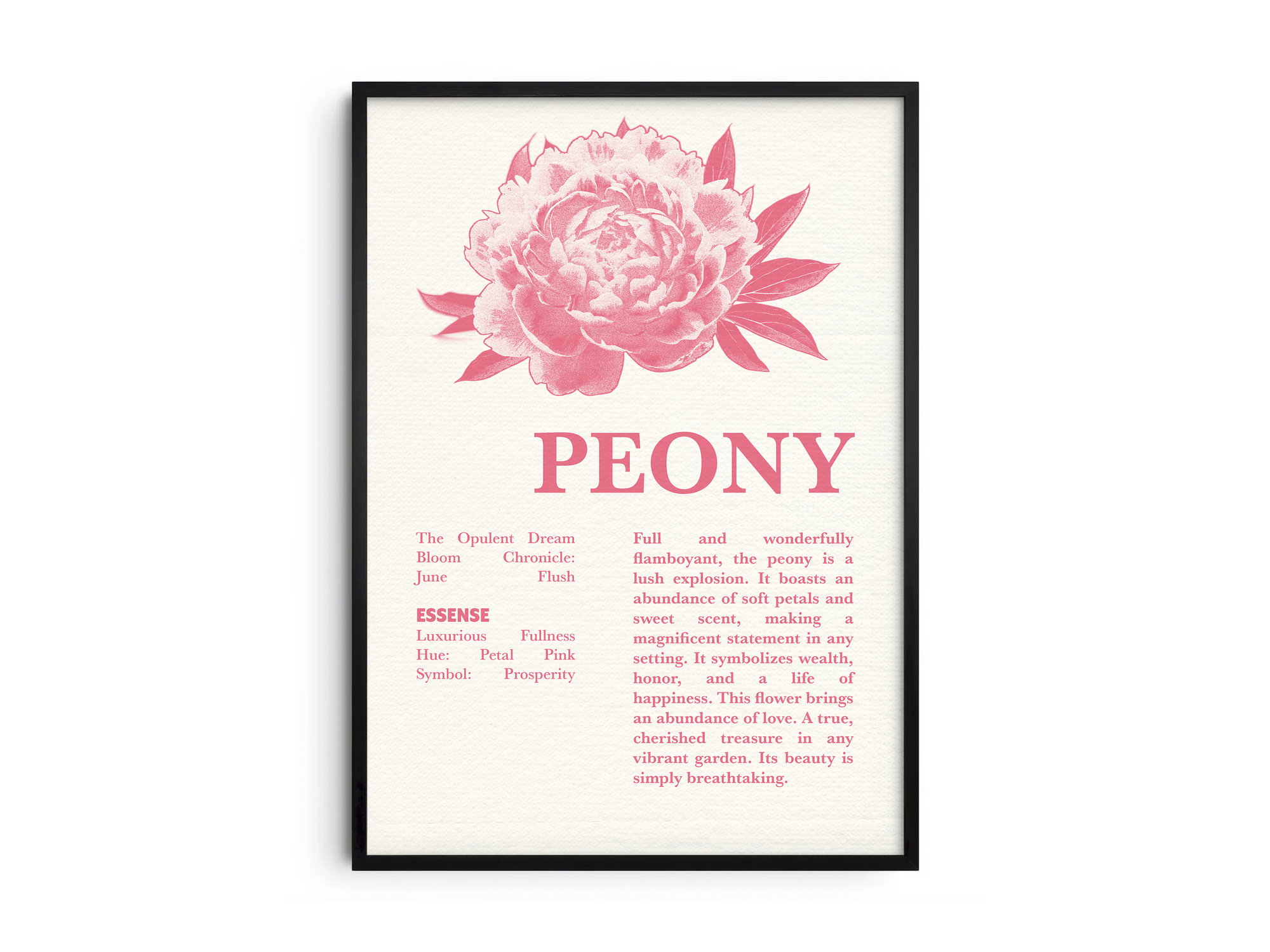 Vintage botanical peony poster featuring a detailed flower illustration in soft pink tones, printed on semi-gloss sustainable paper. Perfect wall art for living rooms, bedrooms, or modern interiors with a romantic and natural aesthetic.