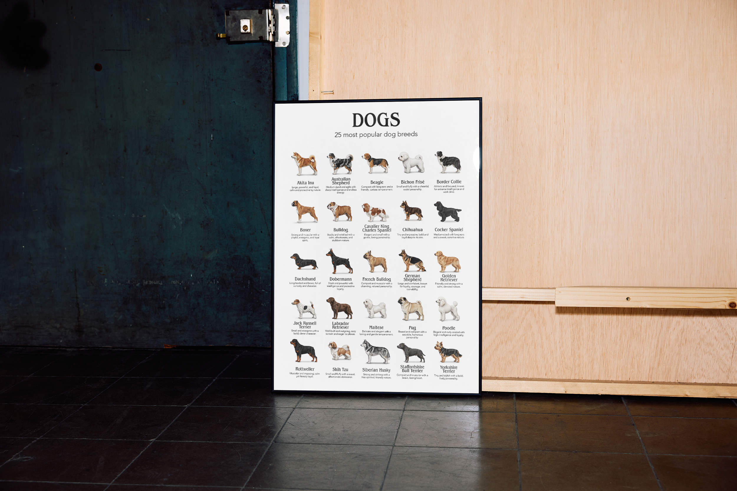 A large framed poster titled "DOGS: 25 most popular dog breeds" showing small illustrated images of various dog breeds with their names below, leaning against a rustic wood wall in a dimly lit area with a dark tiled floor.