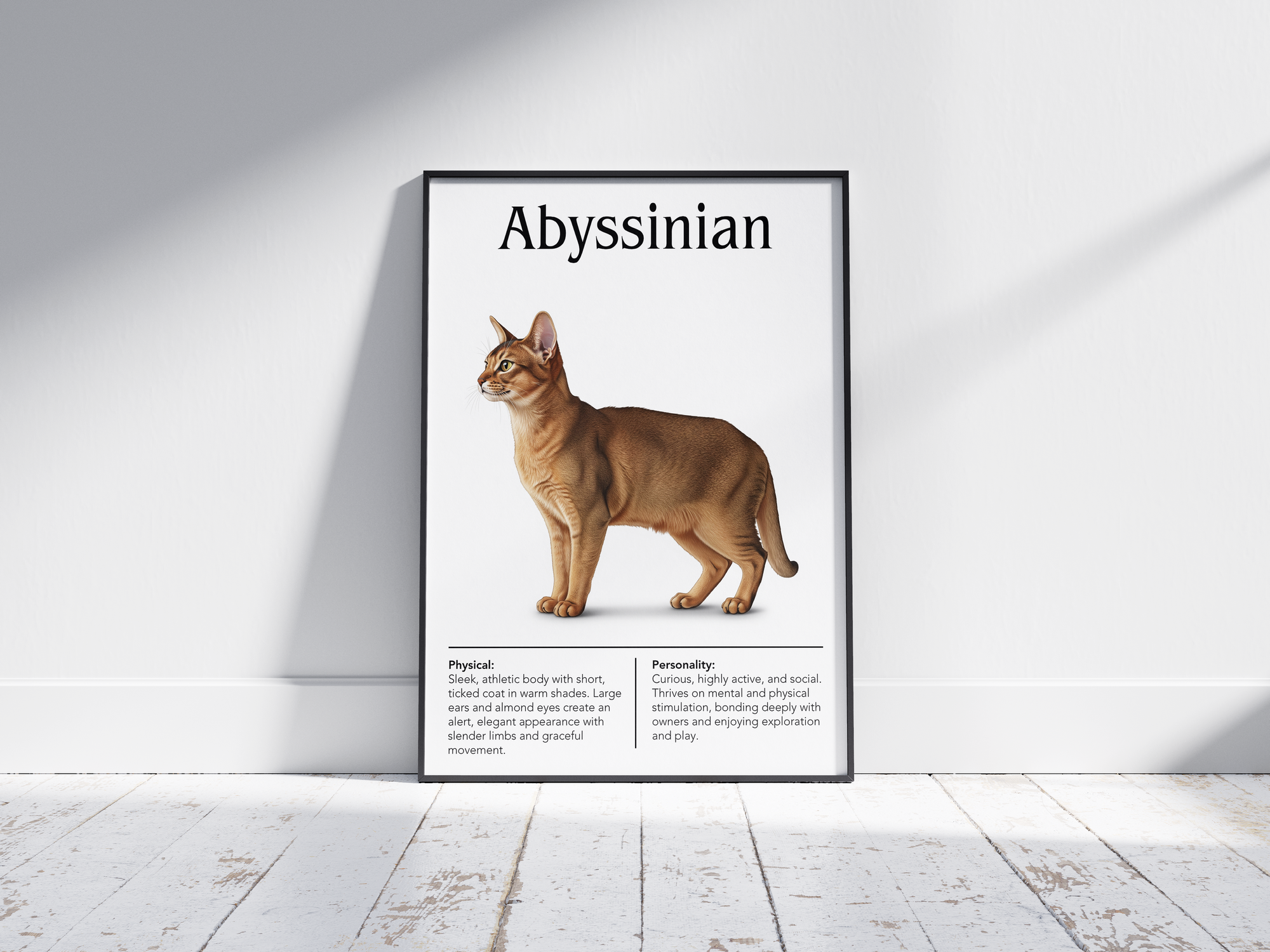Dynamic Abyssinian cat breed poster featuring a detailed illustration of the cat with its striking ticked coat and slender build, printed on semi-gloss sustainable paper. Perfect wall art for modern living rooms, studies, or adventurous interiors with a vibrant and exotic aesthetic.