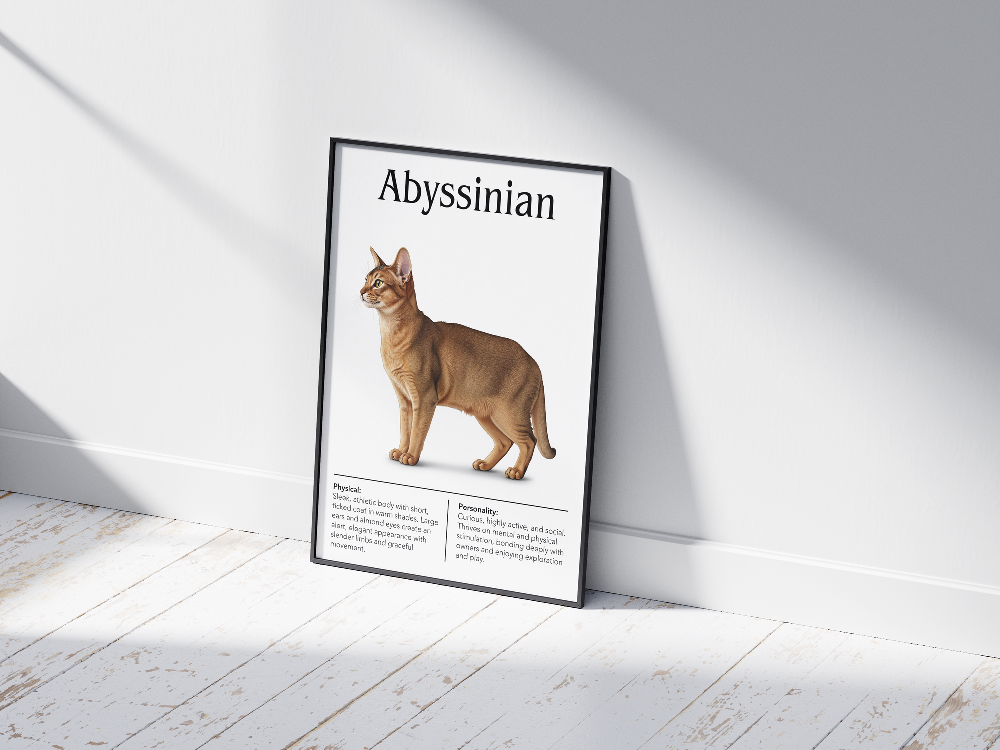 Dynamic Abyssinian cat breed poster featuring a detailed illustration of the cat with its striking ticked coat and slender build, printed on semi-gloss sustainable paper. Perfect wall art for modern living rooms, studies, or adventurous interiors with a vibrant and exotic aesthetic.