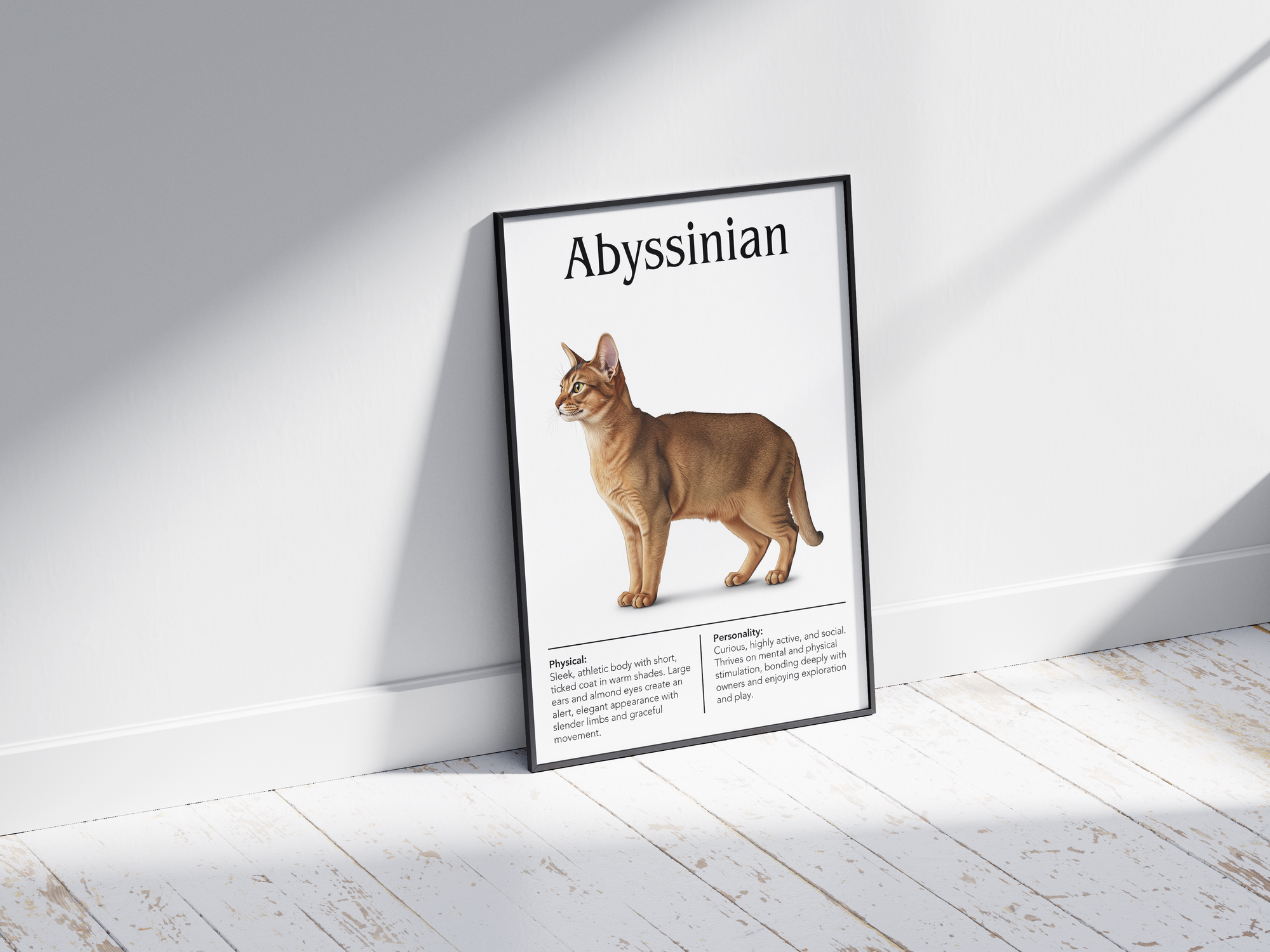Dynamic Abyssinian cat breed poster featuring a detailed illustration of the cat with its striking ticked coat and slender build, printed on semi-gloss sustainable paper. Perfect wall art for modern living rooms, studies, or adventurous interiors with a vibrant and exotic aesthetic.