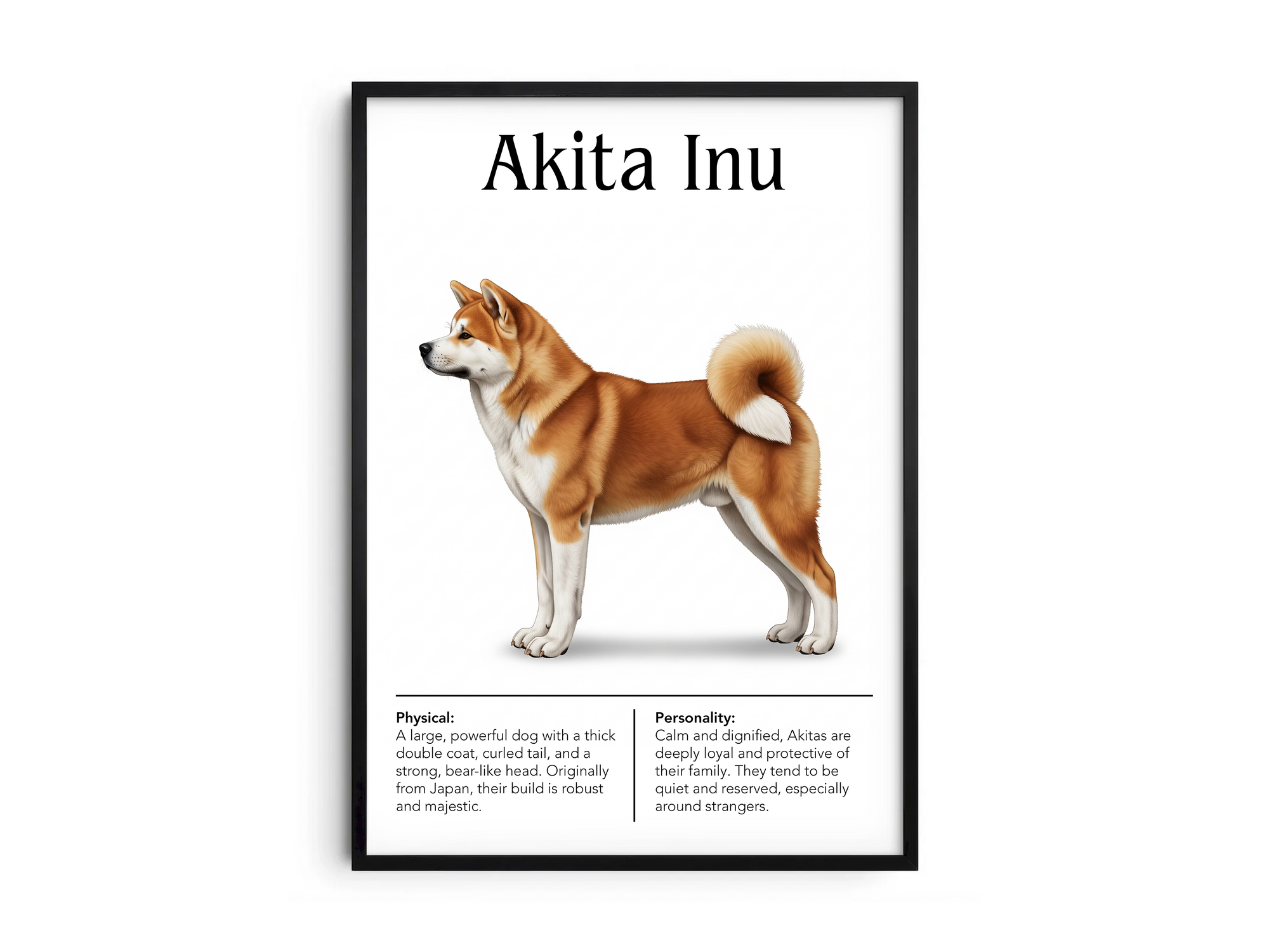 Detailed Akita Inu dog breed poster showcasing its physical characteristics and personality traits, printed on semi-gloss sustainable paper. Perfect wall art for living rooms, studies, or modern interiors with a dignified and elegant aesthetic.