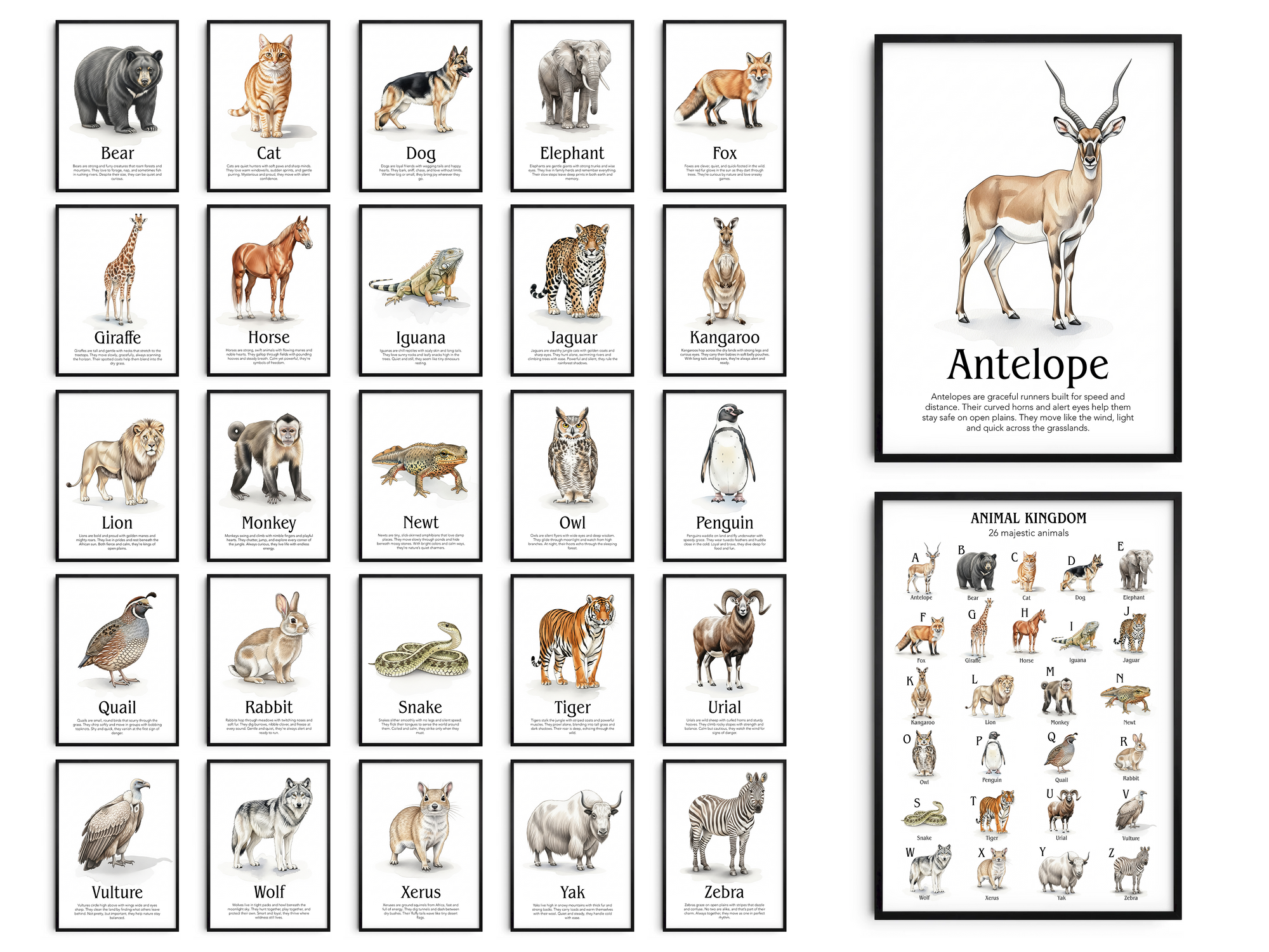 Explore our unique A-Z animal poster collection! Featuring one comprehensive alphabet poster and 26 individual animal prints. Perfect for learning & kids' rooms.