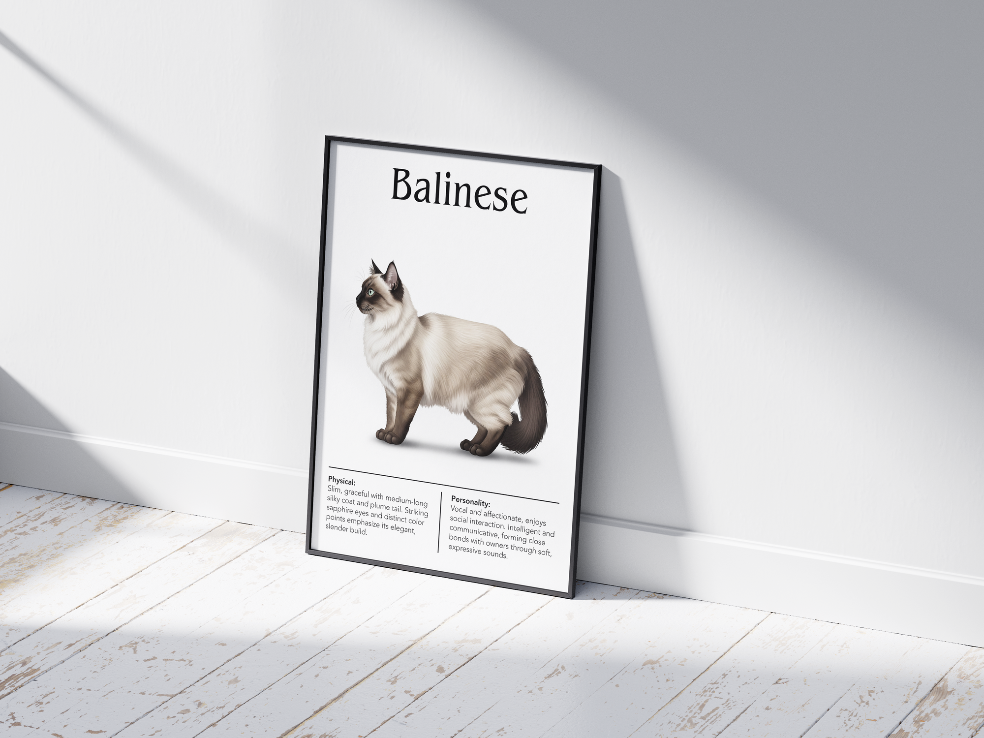 Elegant Balinese cat breed poster featuring a detailed illustration of the cat with its striking blue eyes and long silky coat, printed on semi-gloss sustainable paper. Perfect wall art for living rooms, bedrooms, or sophisticated interiors with a serene and graceful aesthetic.