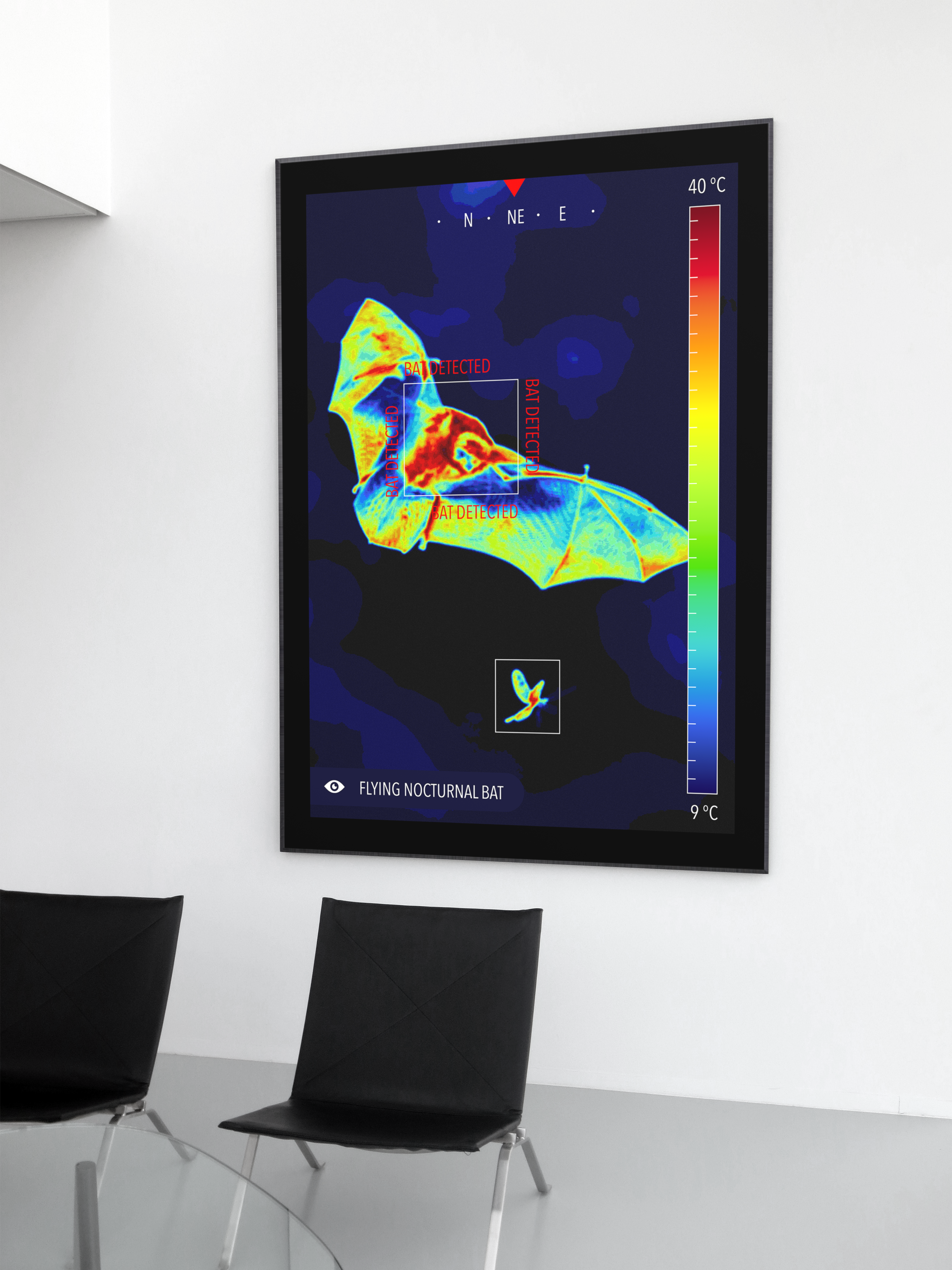 A large black-framed poster with a thermal image graphic of a Flying Nocturnal Bat in bright warm colors, hanging on a white wall above a couple of black chairs.
