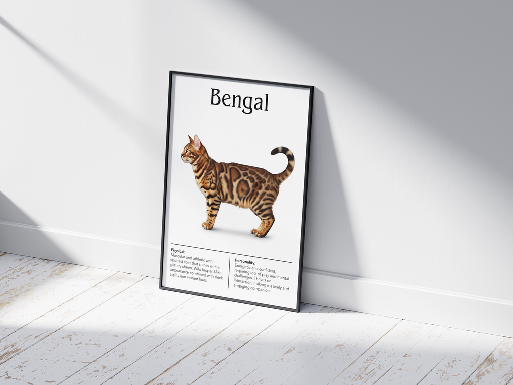 Striking Bengal cat breed poster featuring a detailed illustration of the cat with its exotic spotted coat and wild appearance, printed on semi-gloss sustainable paper. Perfect wall art for modern living rooms, studies, or adventurous interiors with a bold and unique aesthetic.