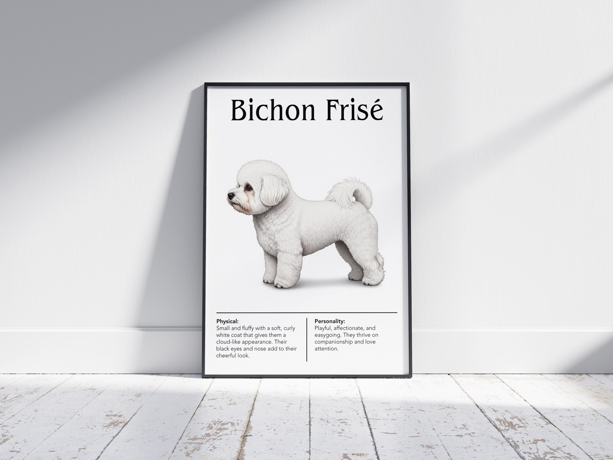 Detailed Bichon Frisé dog breed poster showcasing its fluffy appearance and cheerful personality traits, printed on semi-gloss sustainable paper. Perfect wall art for living rooms, nurseries, or modern interiors with a charming and joyful aesthetic.