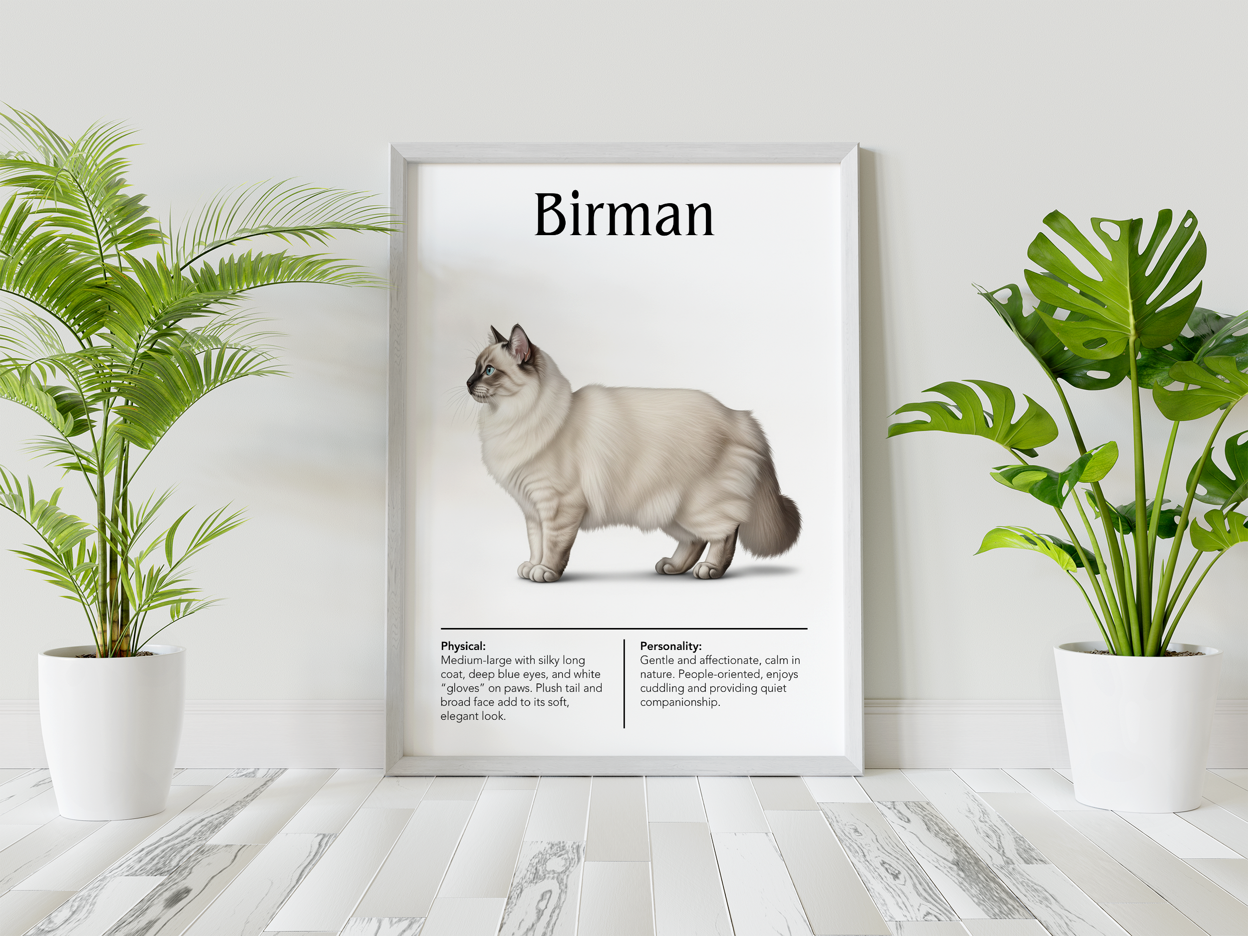 A large, white-framed poster featuring a cream-colored Birman cat with deep blue eyes, standing on a white wooden floor between two tall potted green palm plants.