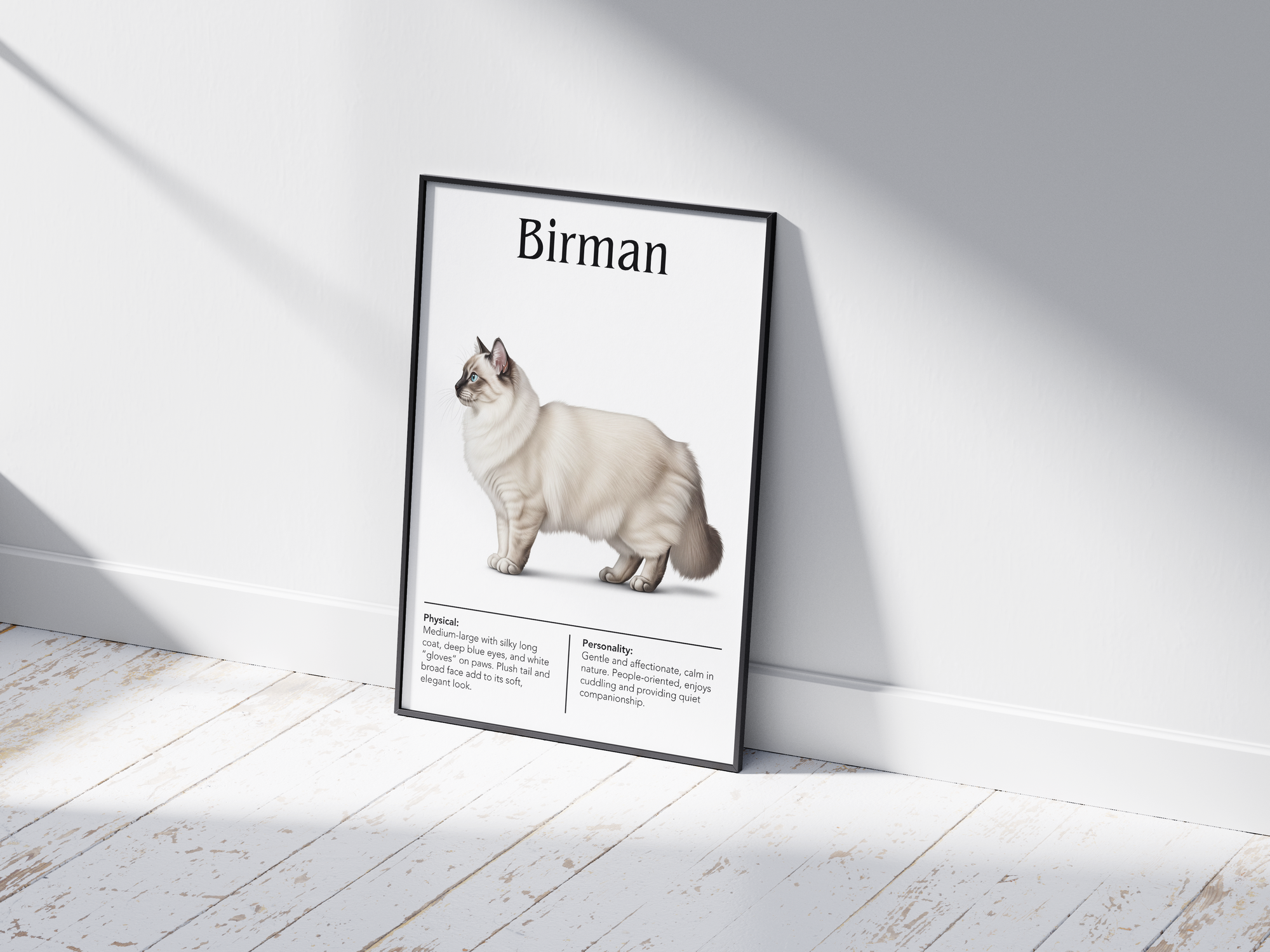 Ethereal Birman cat breed poster featuring a detailed illustration of the cat with its striking blue eyes, long silky coat, and white "gloves", printed on semi-gloss sustainable paper. Perfect wall art for living rooms, bedrooms, or tranquil interiors with a serene and elegant aesthetic.
