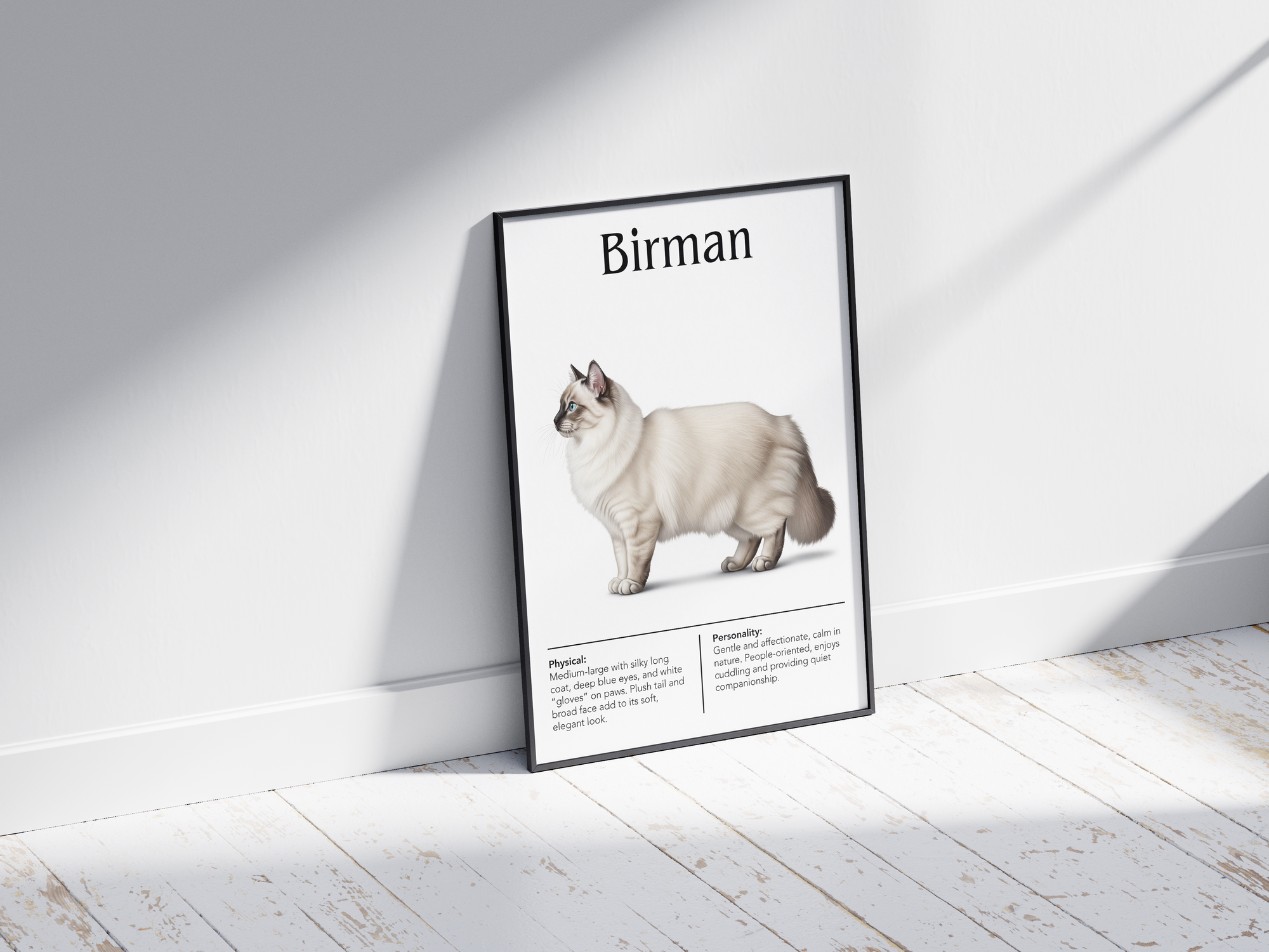 Ethereal Birman cat breed poster featuring a detailed illustration of the cat with its striking blue eyes, long silky coat, and white "gloves", printed on semi-gloss sustainable paper. Perfect wall art for living rooms, bedrooms, or tranquil interiors with a serene and elegant aesthetic.
