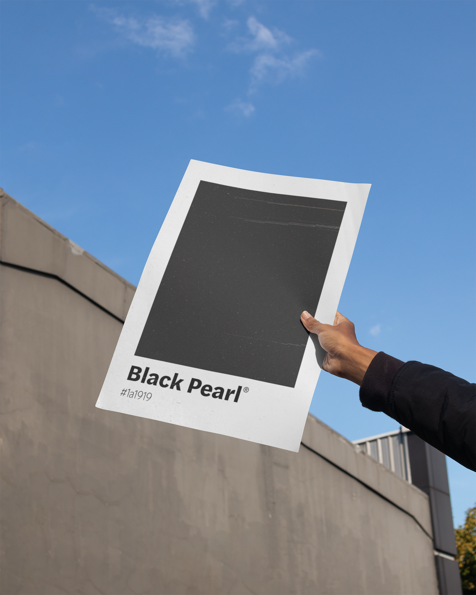 A hand holding up a print of a large black color block labeled "Black Pearl" and its hex code, set against a concrete building and a bright blue sky.