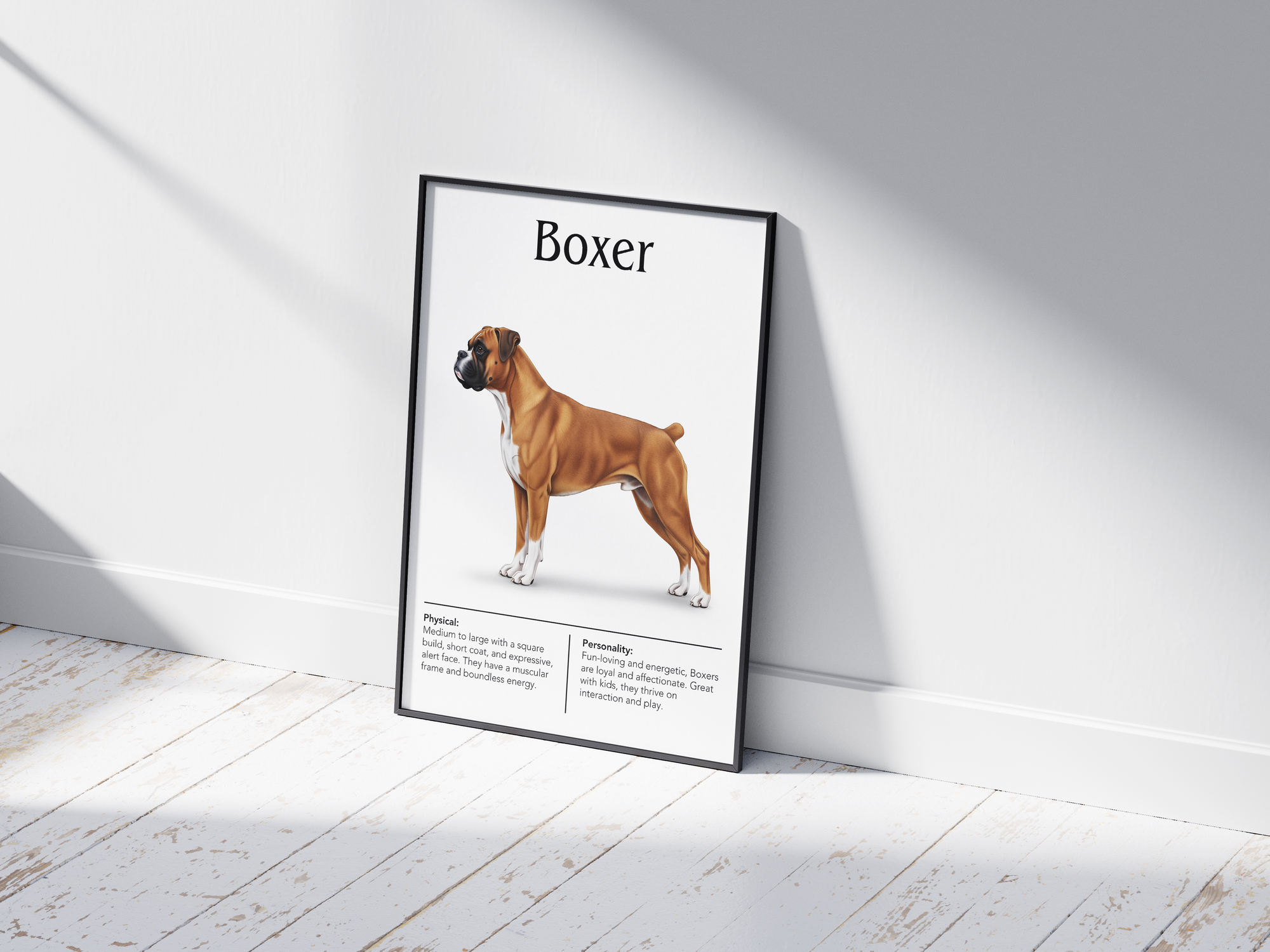 Detailed Boxer dog breed poster showcasing its strong build and playful, loyal personality traits, printed on semi-gloss sustainable paper. Perfect wall art for family rooms, living rooms, or modern interiors with a spirited and affectionate aesthetic.