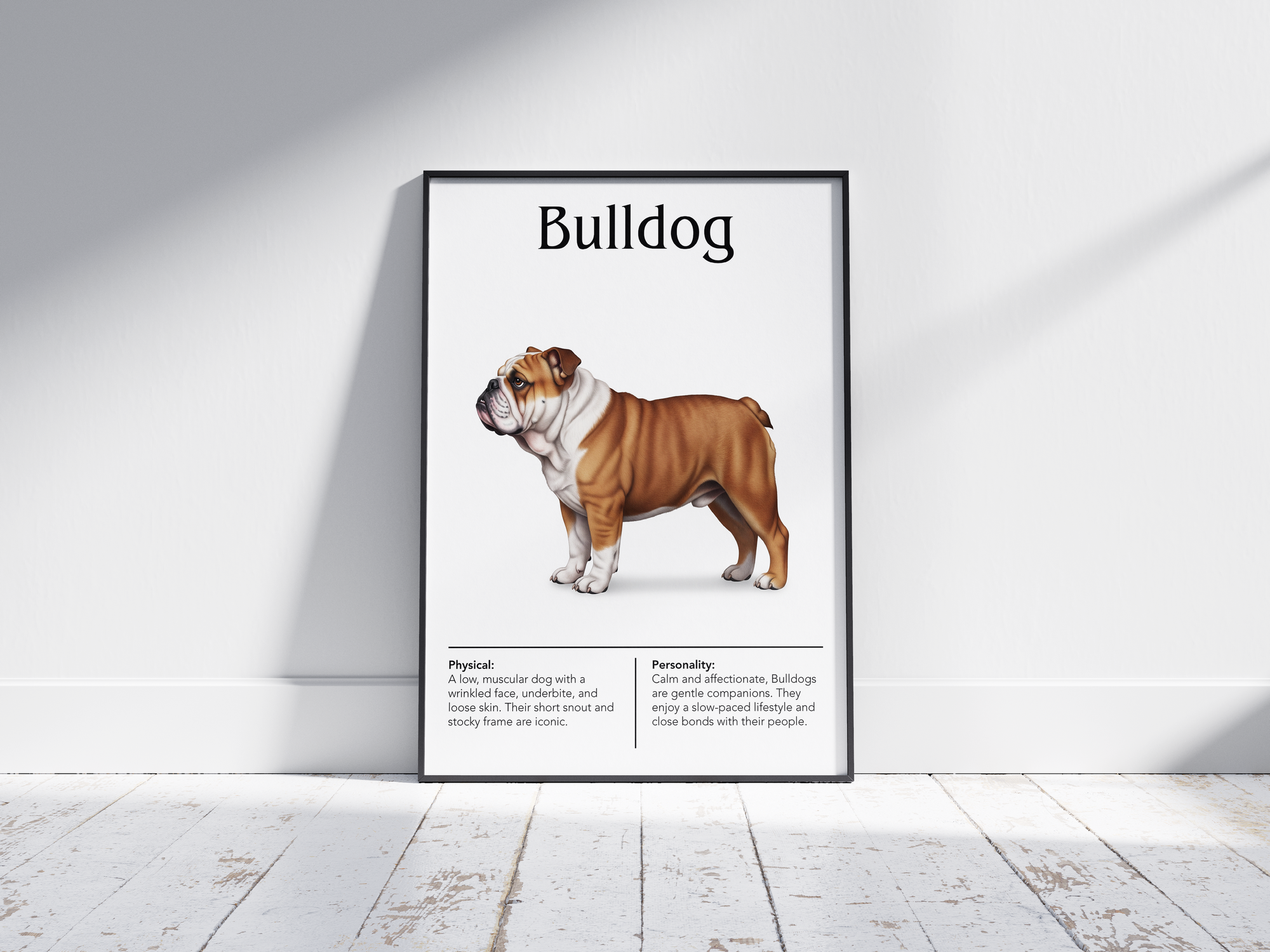 Detailed Bulldog dog breed poster showcasing its distinctive robust build and calm, loyal personality traits, printed on semi-gloss sustainable paper. Perfect wall art for living rooms, studies, or modern interiors with a charming and steadfast aesthetic.