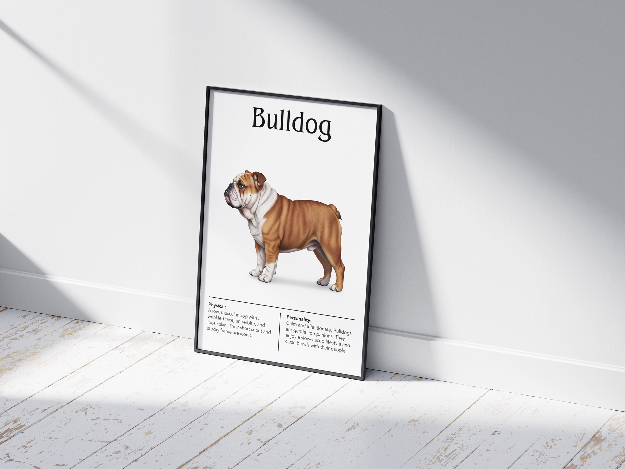 Detailed Bulldog dog breed poster showcasing its distinctive robust build and calm, loyal personality traits, printed on semi-gloss sustainable paper. Perfect wall art for living rooms, studies, or modern interiors with a charming and steadfast aesthetic.
