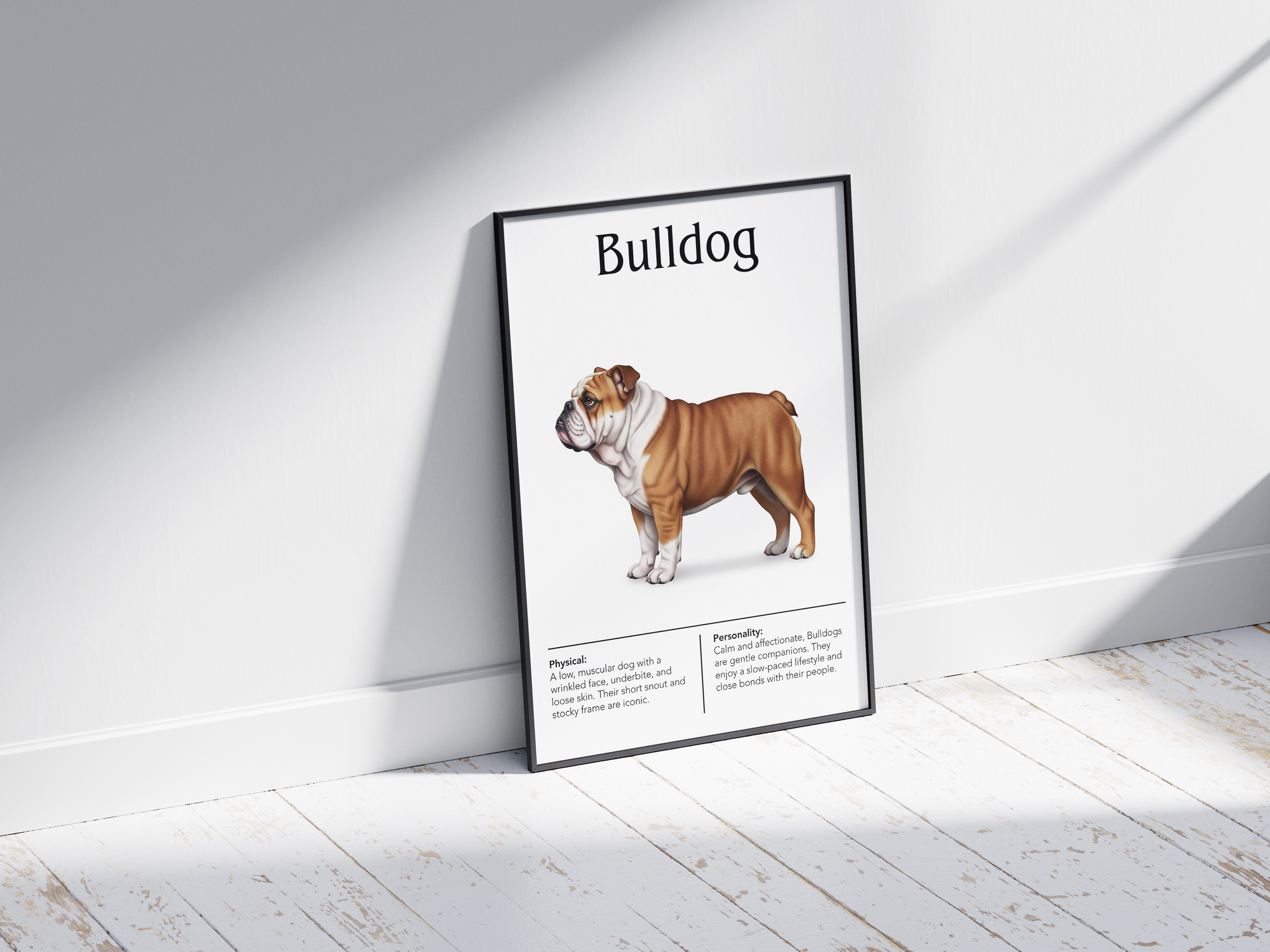 Detailed Bulldog dog breed poster showcasing its distinctive robust build and calm, loyal personality traits, printed on semi-gloss sustainable paper. Perfect wall art for living rooms, studies, or modern interiors with a charming and steadfast aesthetic.