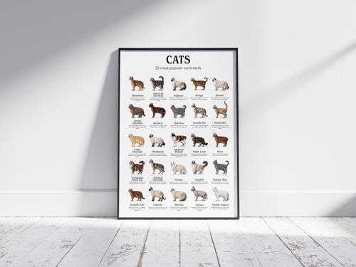 Colorful poster showcasing 25 popular cat breeds with detailed illustrations, printed on semi-gloss sustainable paper. Perfect wall art for living rooms, nurseries, or modern interiors with a playful and animal-friendly aesthetic.