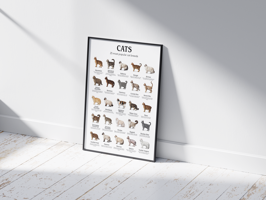 Colorful poster showcasing 25 popular cat breeds with detailed illustrations, printed on semi-gloss sustainable paper. Perfect wall art for living rooms, nurseries, or modern interiors with a playful and animal-friendly aesthetic.
