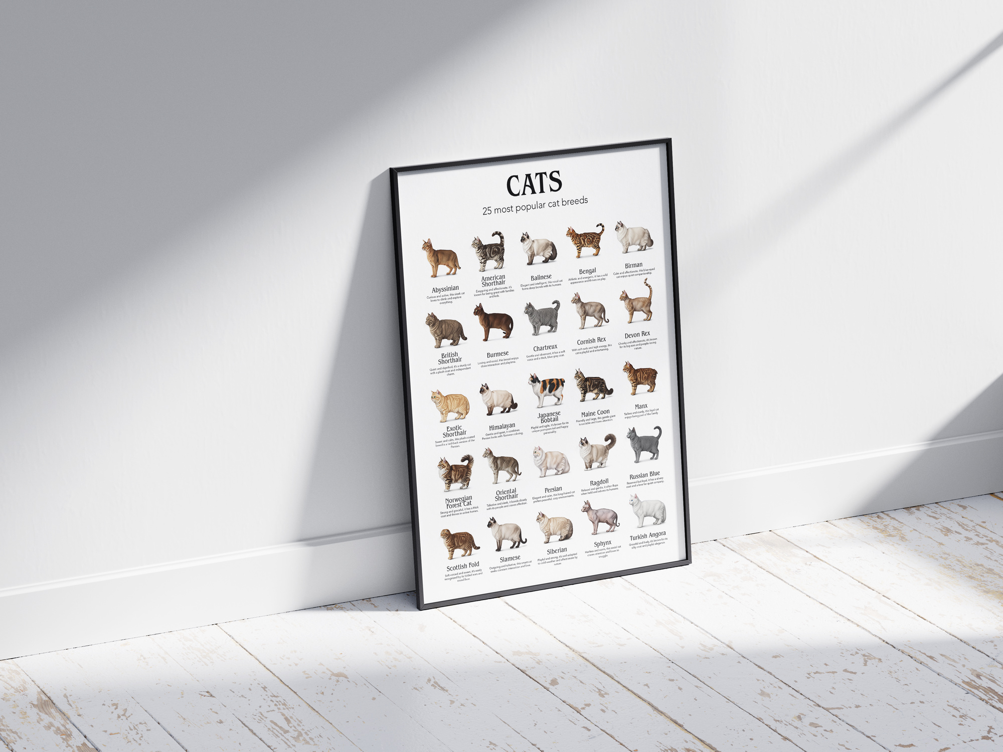 Colorful poster showcasing 25 popular cat breeds with detailed illustrations, printed on semi-gloss sustainable paper. Perfect wall art for living rooms, nurseries, or modern interiors with a playful and animal-friendly aesthetic.