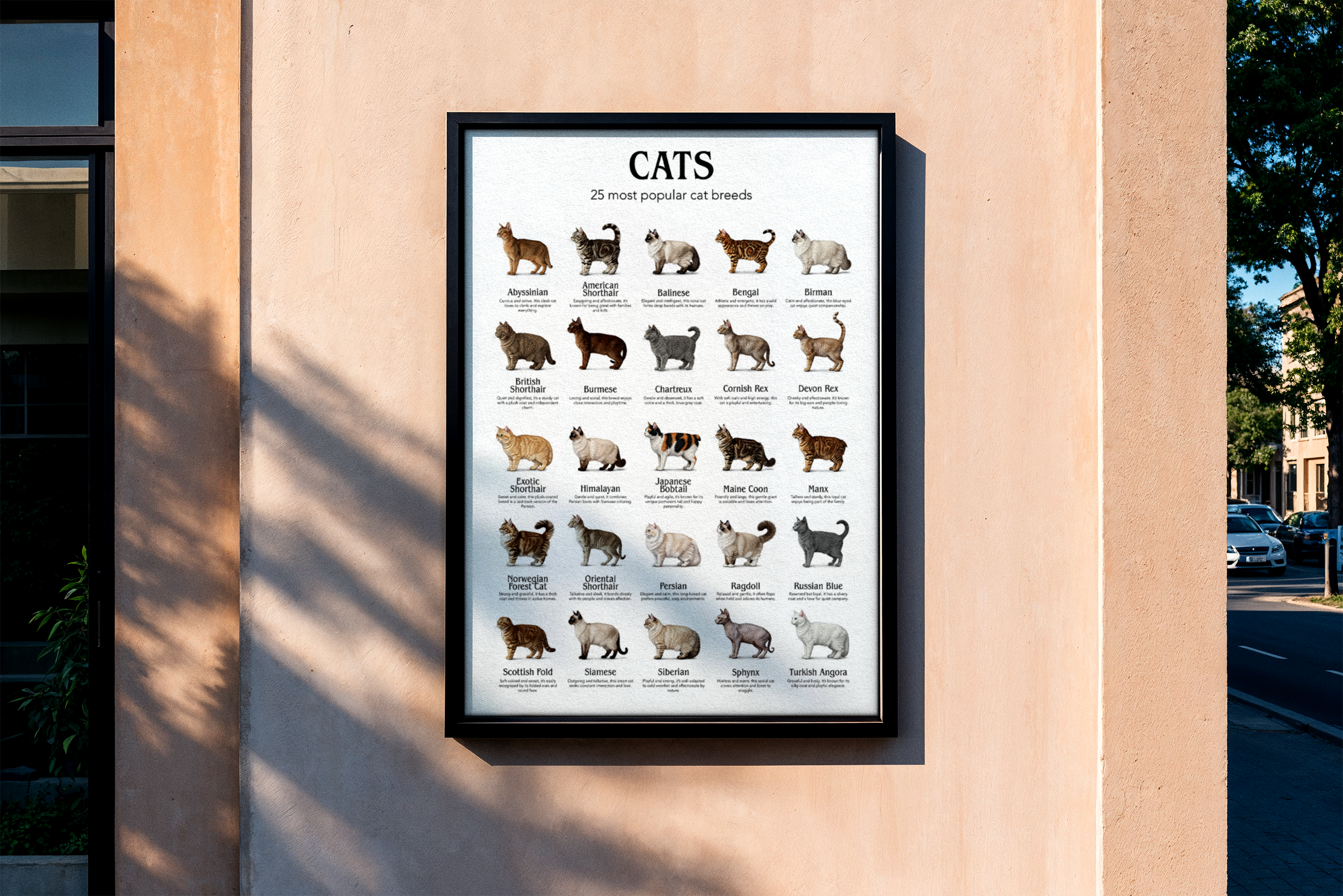 A black-framed vertical poster mockup showing a chart of 'CATS: 25 most popular cat breeds', displayed on a smooth brownish-pink exterior wall of a building.