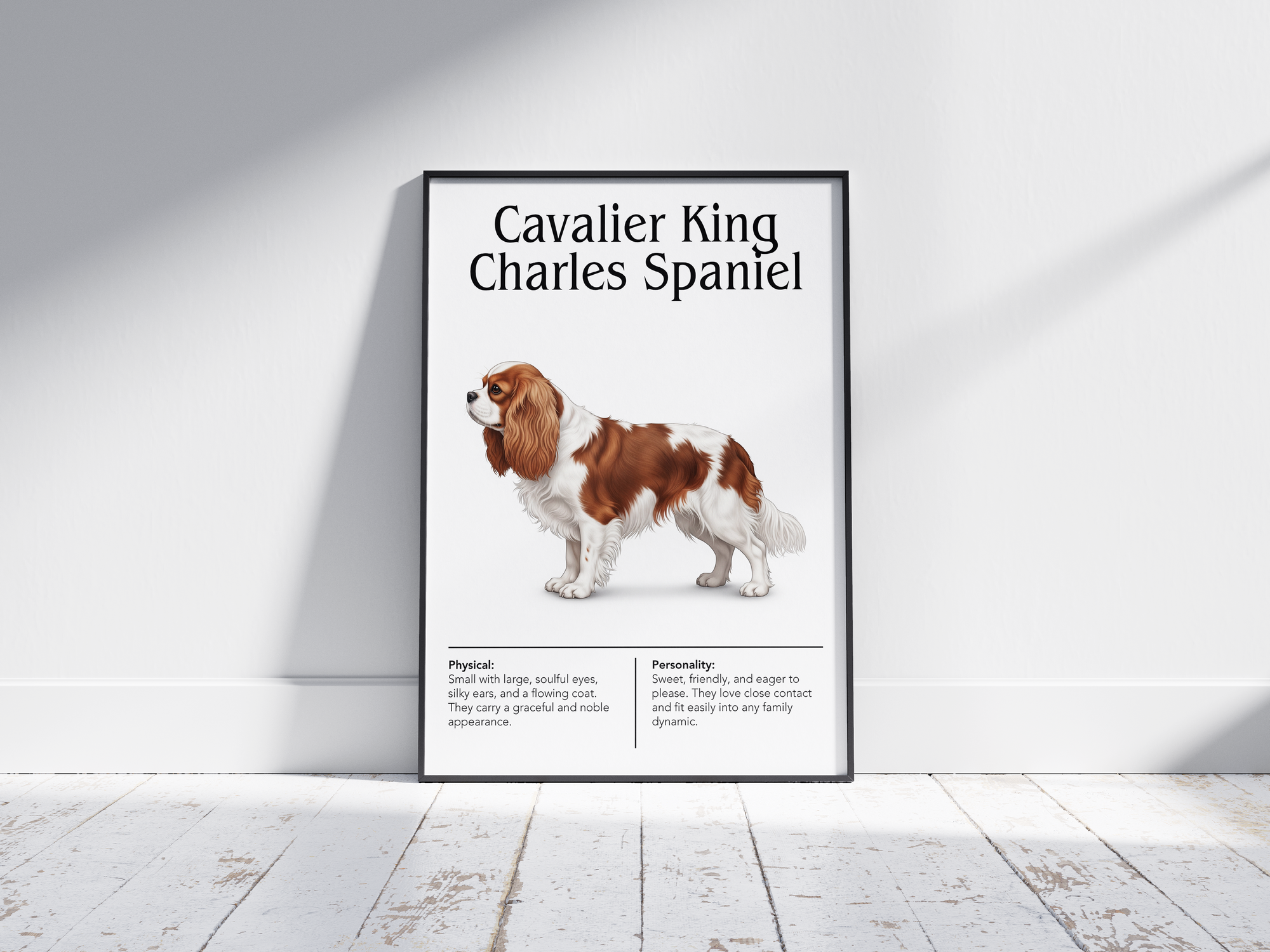 Detailed Cavalier King Charles Spaniel dog breed poster showcasing its charming features and gentle, loving personality traits, printed on semi-gloss sustainable paper. Perfect wall art for living rooms, bedrooms, or modern interiors with a graceful and affectionate aesthetic.