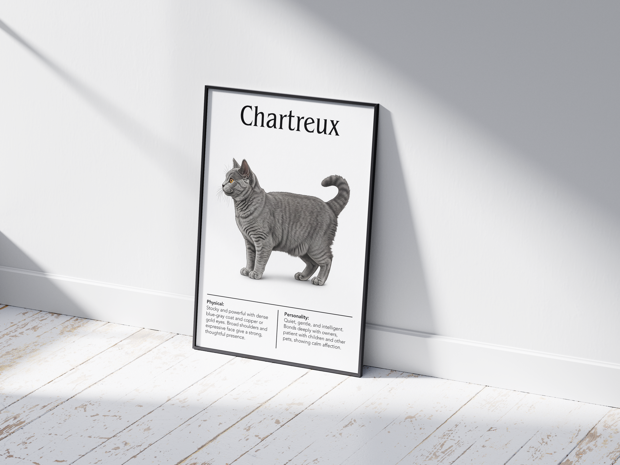Elegant Chartreux cat breed poster featuring a detailed illustration of the cat with its distinctive blue-gray coat and gentle expression, printed on semi-gloss sustainable paper. Perfect wall art for living rooms, studies, or classic interiors with a calm and sophisticated aesthetic.