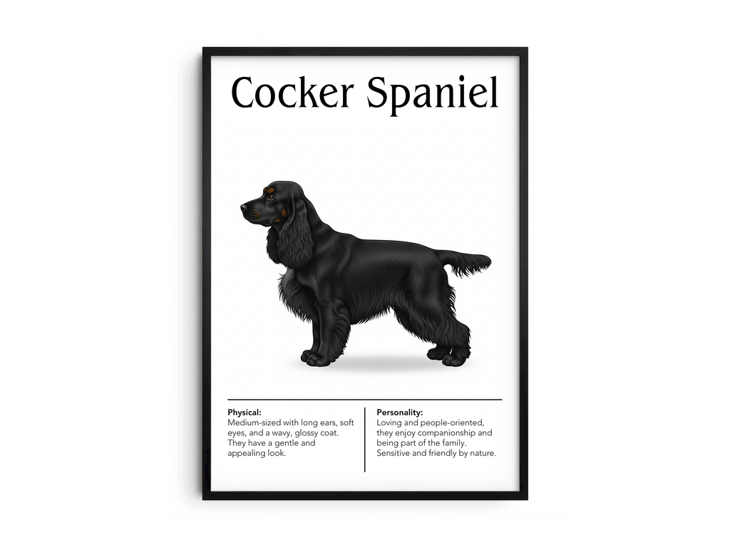 Detailed Cocker Spaniel dog breed poster showcasing its soft features and merry, affectionate personality traits, printed on semi-gloss sustainable paper. Perfect wall art for living rooms, family rooms, or modern interiors with a gentle and cheerful aesthetic.