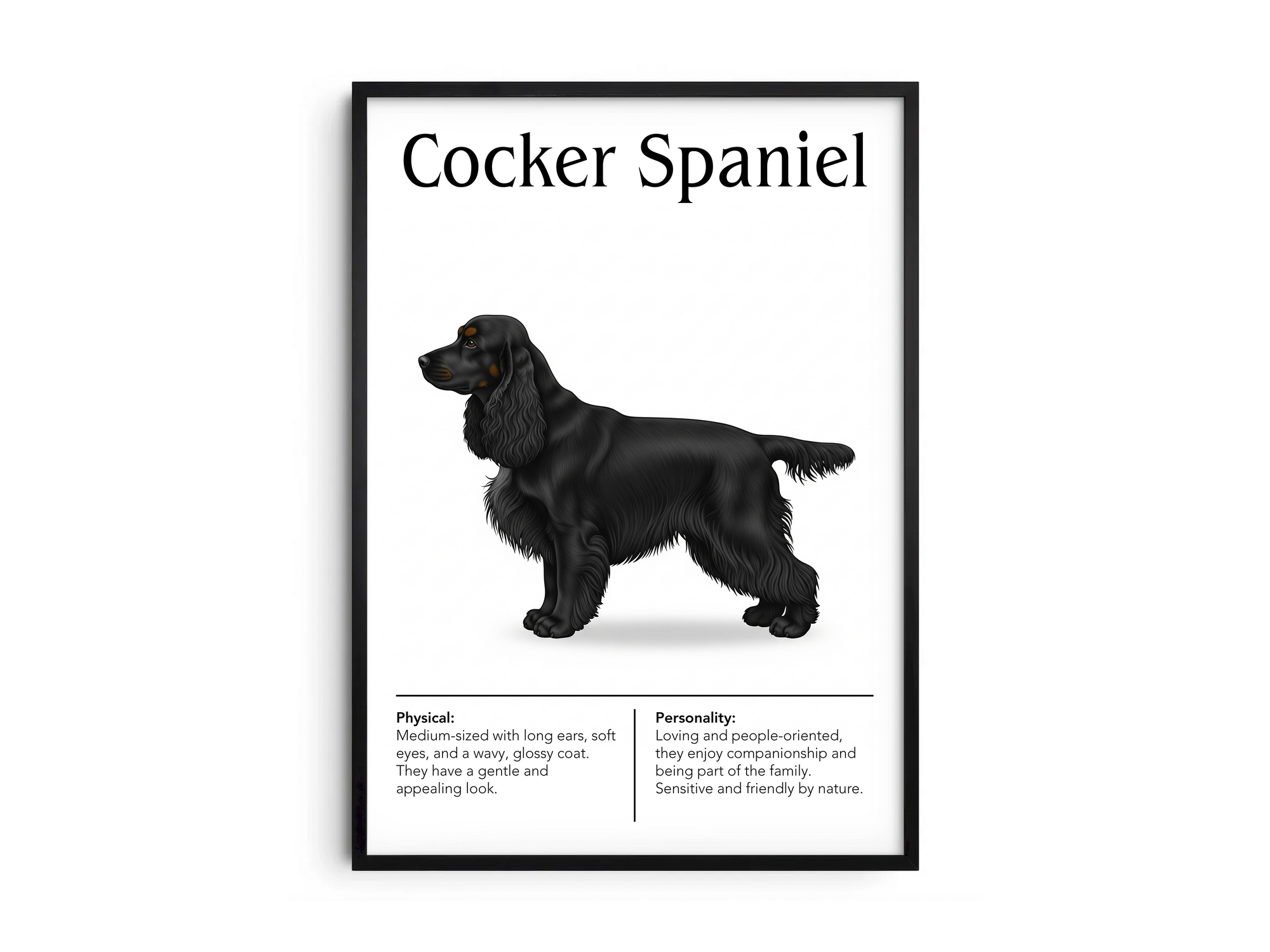 Detailed Cocker Spaniel dog breed poster showcasing its soft features and merry, affectionate personality traits, printed on semi-gloss sustainable paper. Perfect wall art for living rooms, family rooms, or modern interiors with a gentle and cheerful aesthetic.