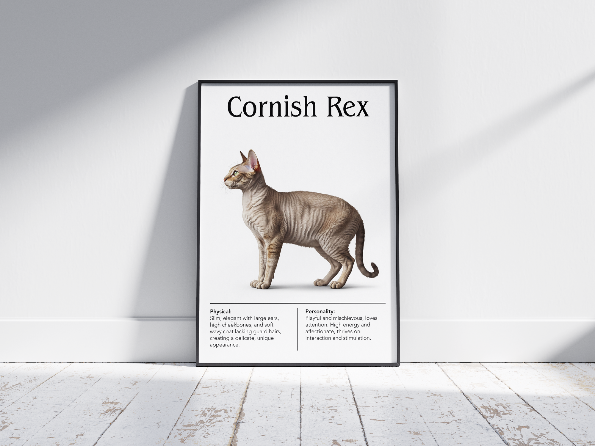 Elegant Cornish Rex cat breed poster featuring a detailed illustration of the cat with its distinctive wavy coat and slender build, printed on semi-gloss sustainable paper. Perfect wall art for modern living rooms, studies, or minimalist interiors with a chic and sophisticated aesthetic.