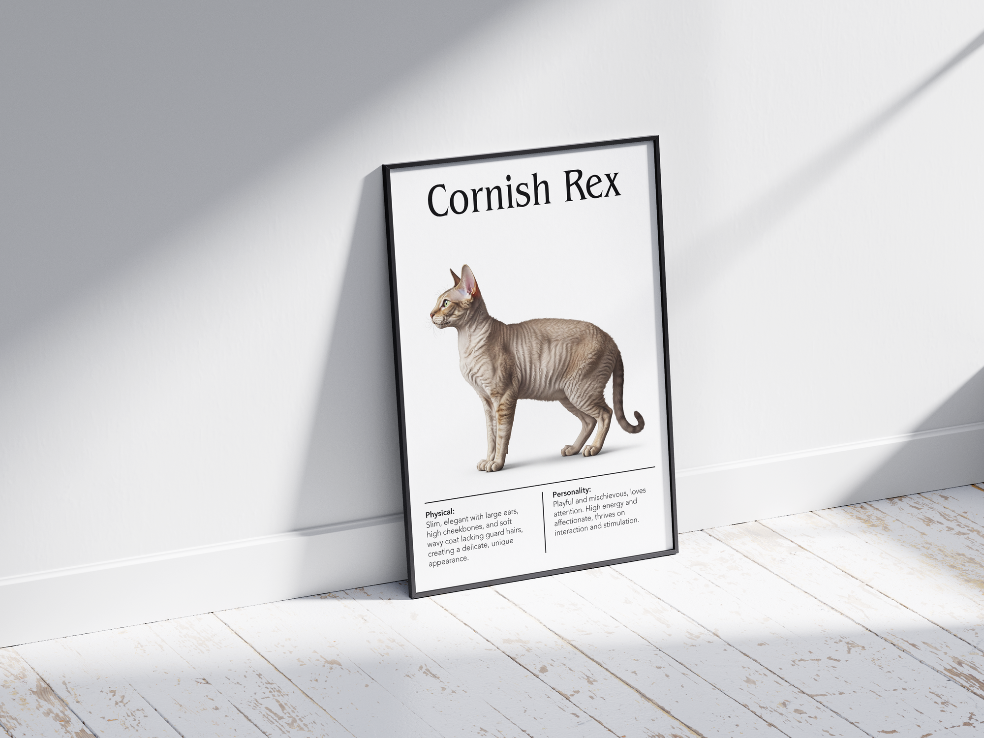 Elegant Cornish Rex cat breed poster featuring a detailed illustration of the cat with its distinctive wavy coat and slender build, printed on semi-gloss sustainable paper. Perfect wall art for modern living rooms, studies, or minimalist interiors with a chic and sophisticated aesthetic.