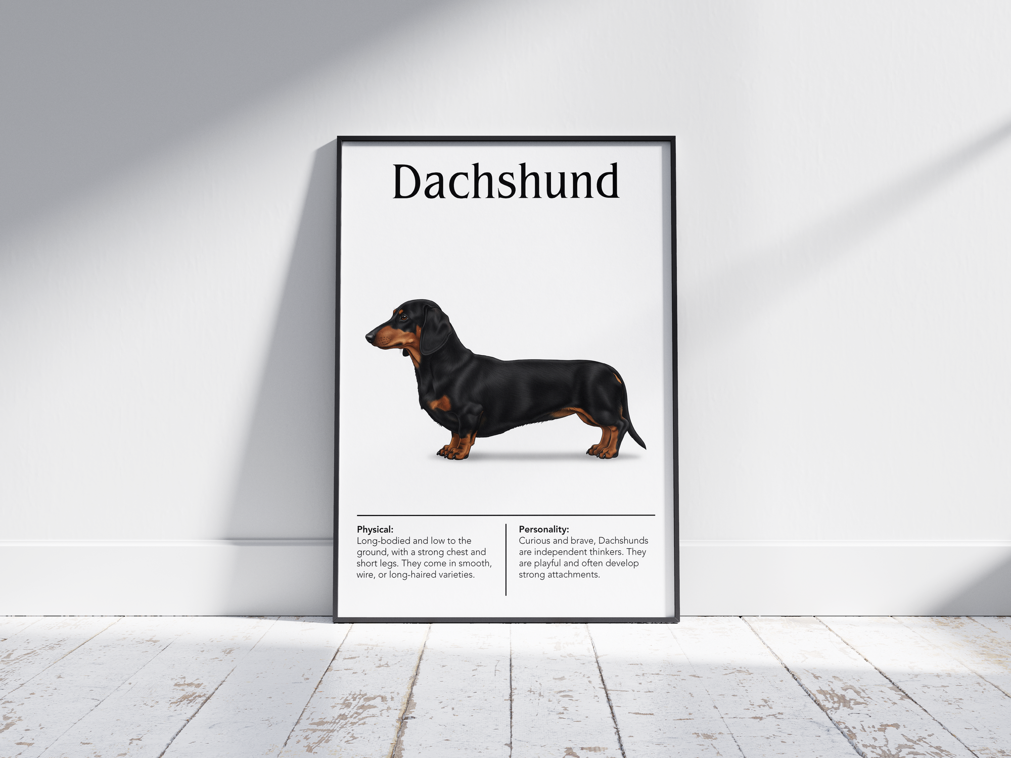 Detailed Dachshund dog breed poster showcasing its long body and bold, loyal personality traits, printed on semi-gloss sustainable paper. Perfect wall art for living rooms, studies, or modern interiors with a spirited and charming aesthetic.