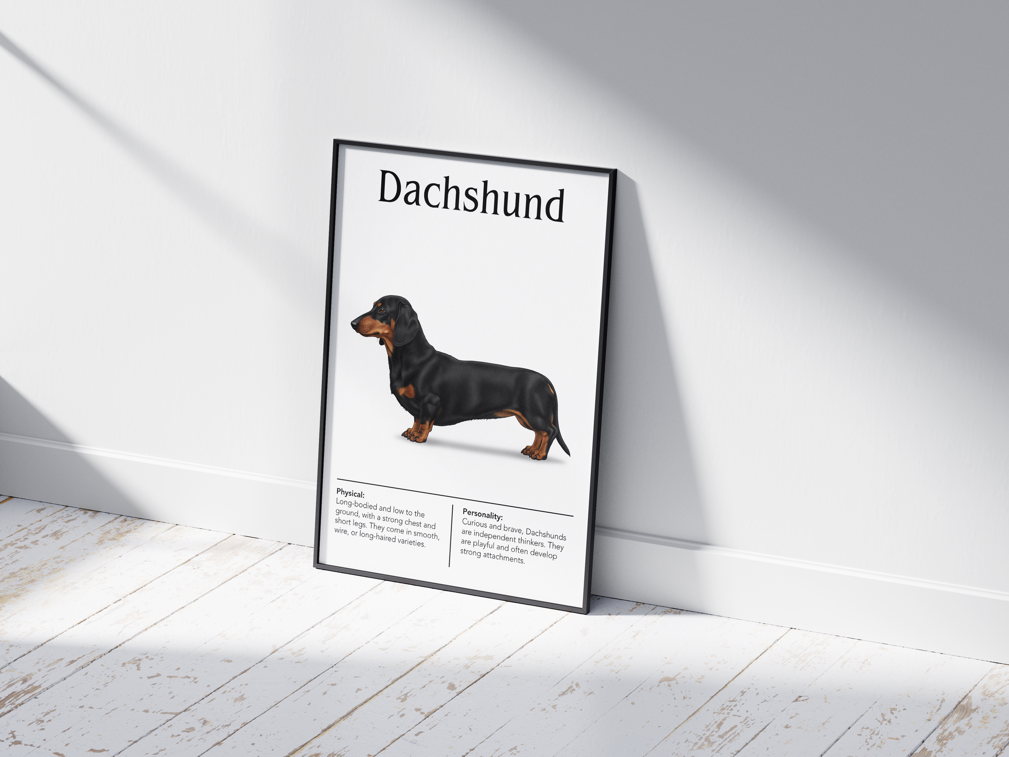 Detailed Dachshund dog breed poster showcasing its long body and bold, loyal personality traits, printed on semi-gloss sustainable paper. Perfect wall art for living rooms, studies, or modern interiors with a spirited and charming aesthetic.