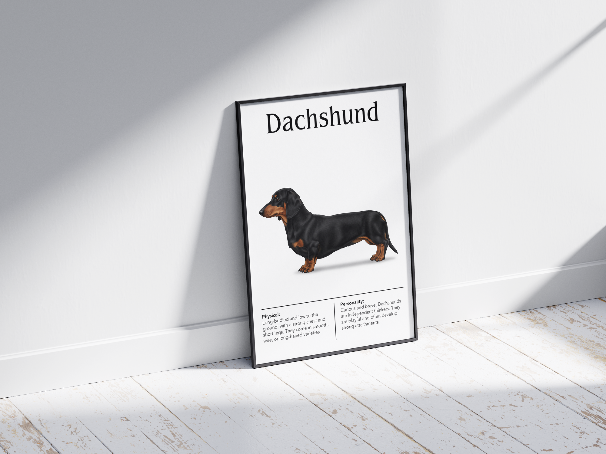 Detailed Dachshund dog breed poster showcasing its long body and bold, loyal personality traits, printed on semi-gloss sustainable paper. Perfect wall art for living rooms, studies, or modern interiors with a spirited and charming aesthetic.