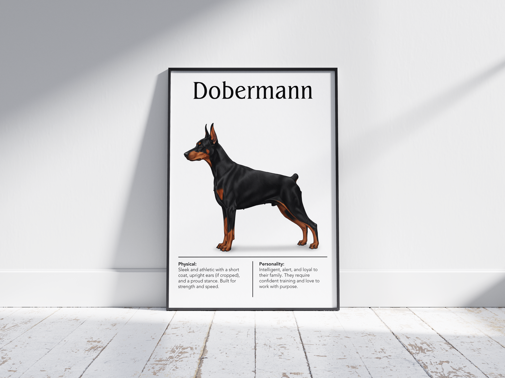 Detailed Dobermann dog breed poster showcasing its sleek build and intelligent, loyal personality traits, printed on semi-gloss sustainable paper. Perfect wall art for studies, living rooms, or modern interiors with a powerful and sophisticated aesthetic.