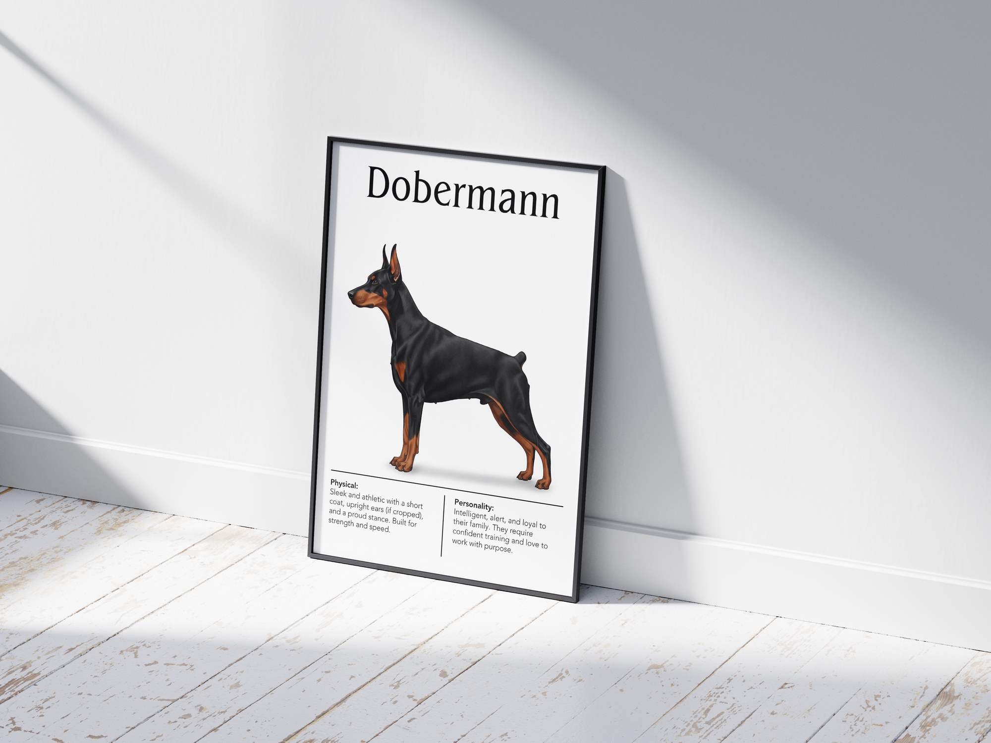 Detailed Dobermann dog breed poster showcasing its sleek build and intelligent, loyal personality traits, printed on semi-gloss sustainable paper. Perfect wall art for studies, living rooms, or modern interiors with a powerful and sophisticated aesthetic.