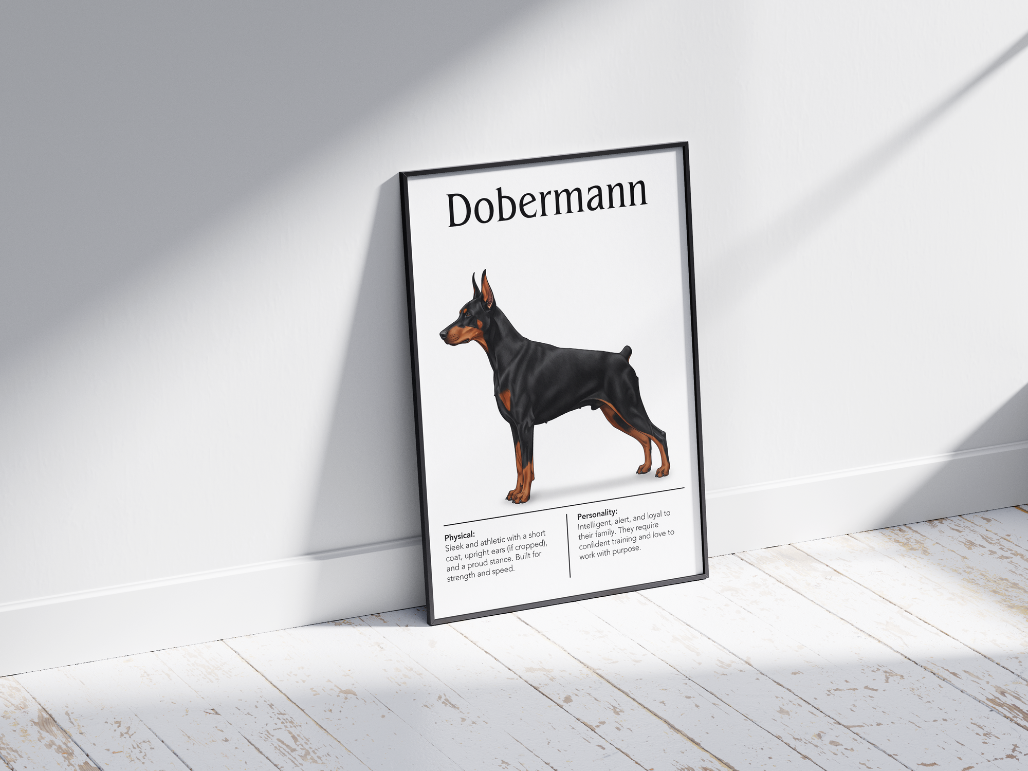 Detailed Dobermann dog breed poster showcasing its sleek build and intelligent, loyal personality traits, printed on semi-gloss sustainable paper. Perfect wall art for studies, living rooms, or modern interiors with a powerful and sophisticated aesthetic.