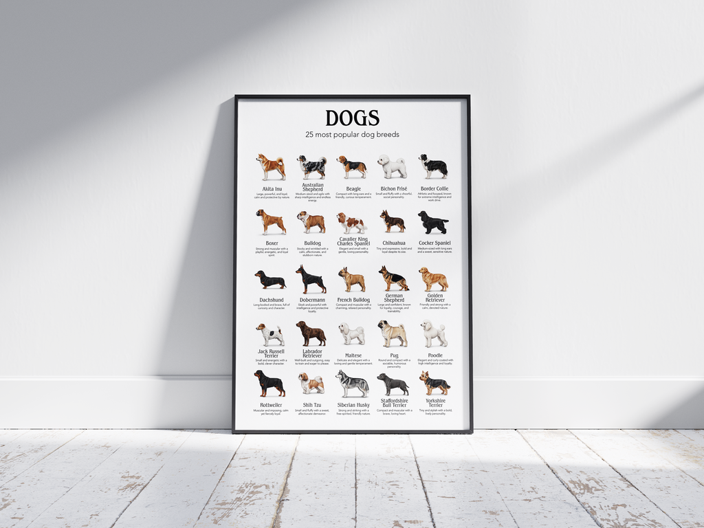 Detailed poster featuring illustrations of the 25 most popular dog breeds, printed on semi-gloss sustainable paper. Ideal wall art for dog lovers, family homes, or modern interiors with a playful and informative aesthetic.
