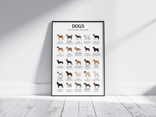 Detailed poster featuring illustrations of the 25 most popular dog breeds, printed on semi-gloss sustainable paper. Ideal wall art for dog lovers, family homes, or modern interiors with a playful and informative aesthetic.