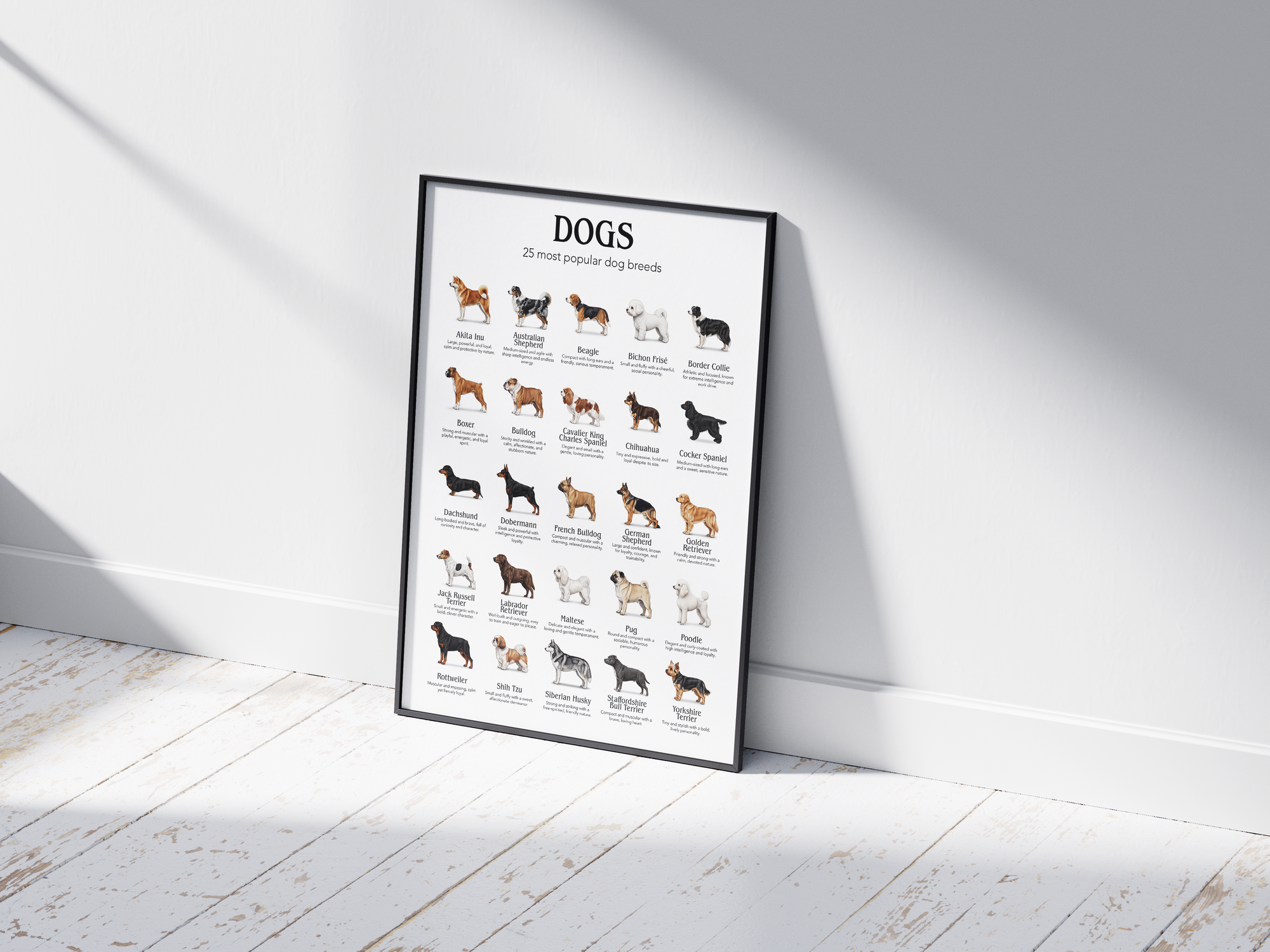 Detailed poster featuring illustrations of the 25 most popular dog breeds, printed on semi-gloss sustainable paper. Ideal wall art for dog lovers, family homes, or modern interiors with a playful and informative aesthetic.