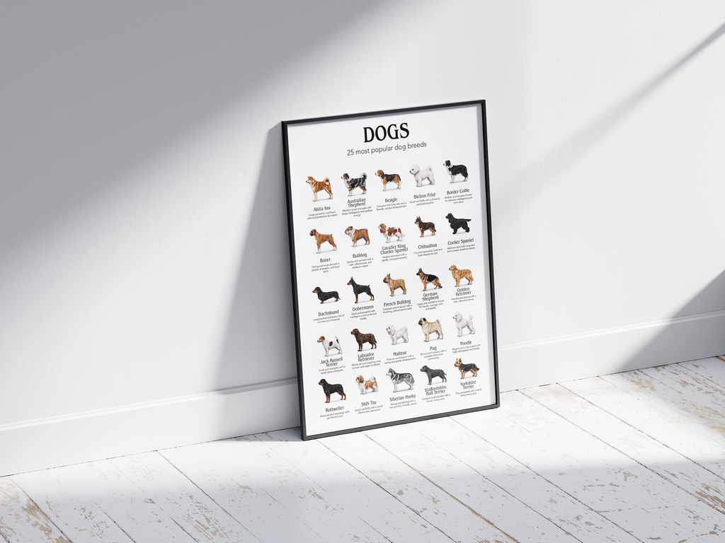 Detailed poster featuring illustrations of the 25 most popular dog breeds, printed on semi-gloss sustainable paper. Ideal wall art for dog lovers, family homes, or modern interiors with a playful and informative aesthetic.