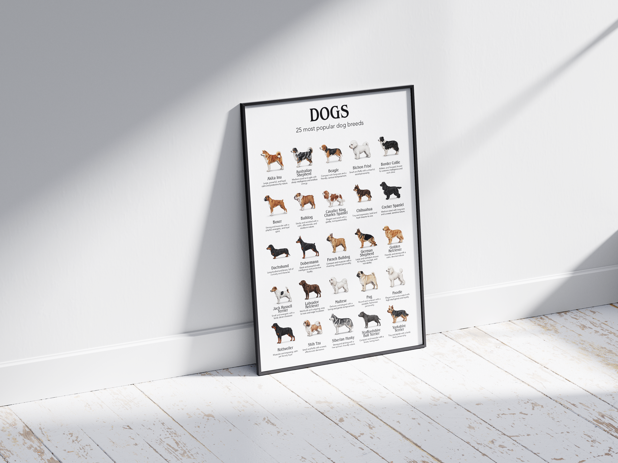 Detailed poster featuring illustrations of the 25 most popular dog breeds, printed on semi-gloss sustainable paper. Ideal wall art for dog lovers, family homes, or modern interiors with a playful and informative aesthetic.