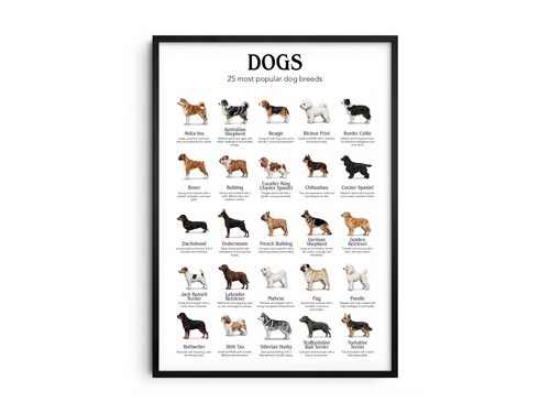 Detailed poster featuring illustrations of the 25 most popular dog breeds, printed on semi-gloss sustainable paper. Ideal wall art for dog lovers, family homes, or modern interiors with a playful and informative aesthetic.