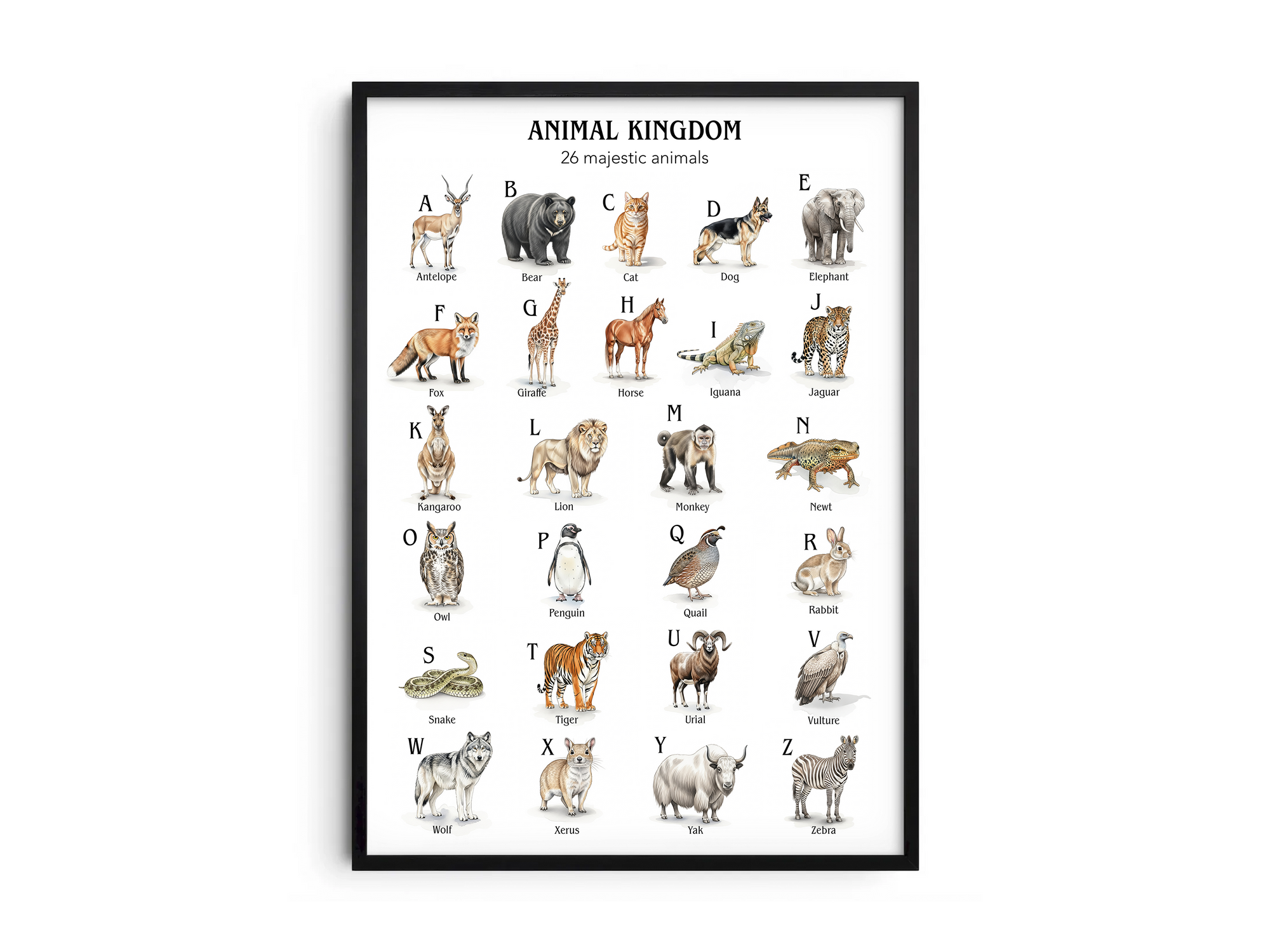 Educational animal alphabet poster featuring 26 detailed animal illustrations for each letter, printed on semi-gloss sustainable paper. Perfect wall art for children's rooms, nurseries, or playrooms with a fun and educational aesthetic.