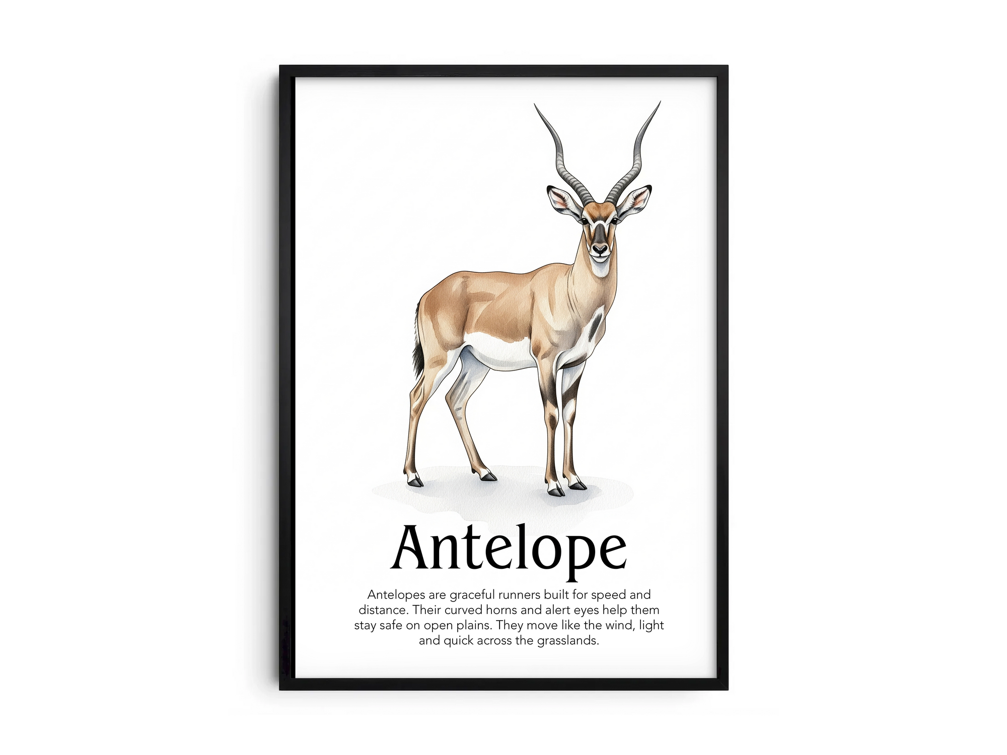 Detailed hand-illustrated Educational Antelope Animal Poster for the letter 'A', printed on semi-gloss sustainable paper. Perfect wall art for children's rooms, nurseries, or playrooms with an educational and nature-inspired aesthetic.