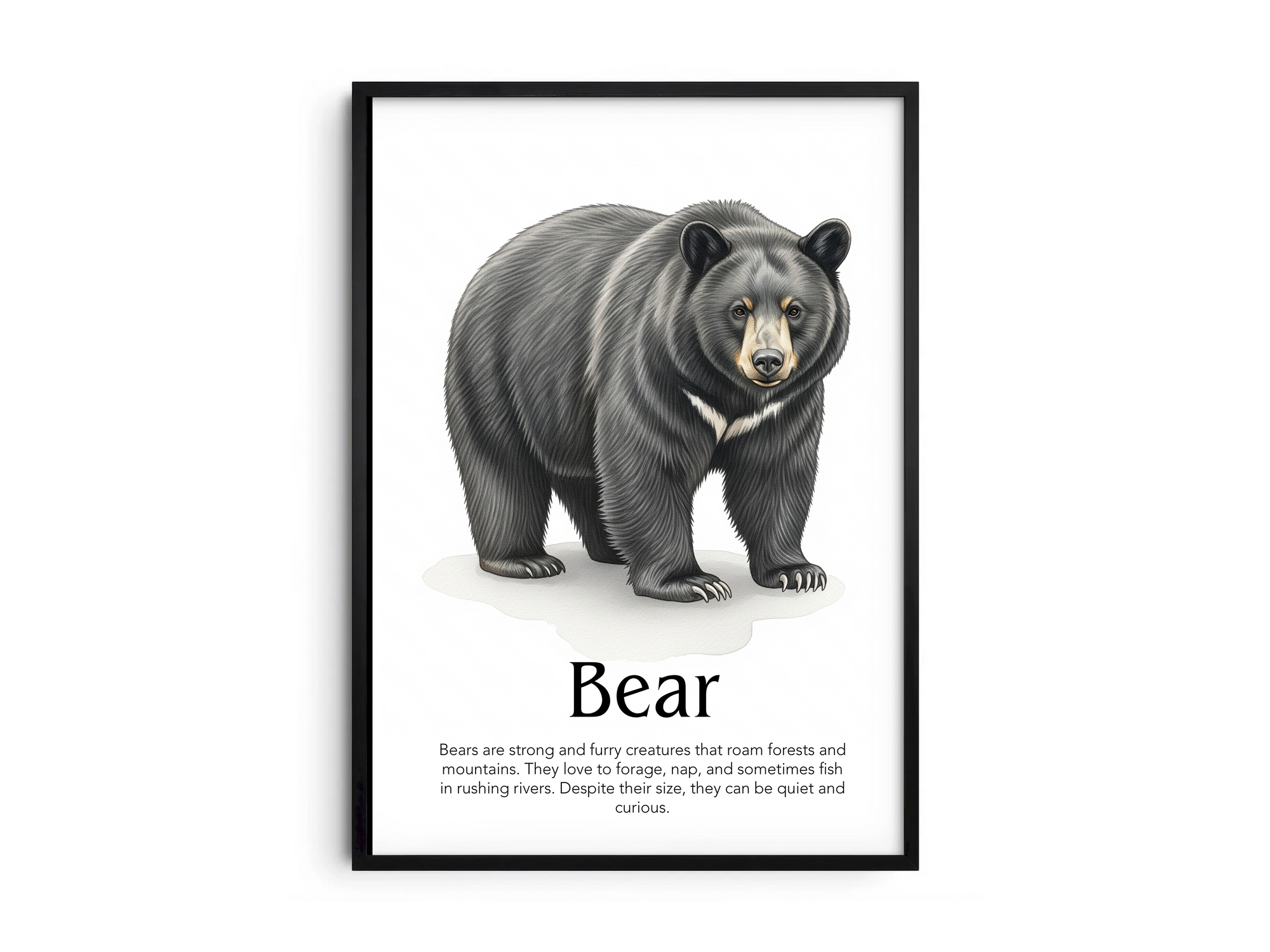 Detailed hand-illustrated Educational Bear Animal Poster for the letter 'B', printed on semi-gloss sustainable paper. Perfect wall art for children's rooms, nurseries, or playrooms with an educational and nature-inspired aesthetic.