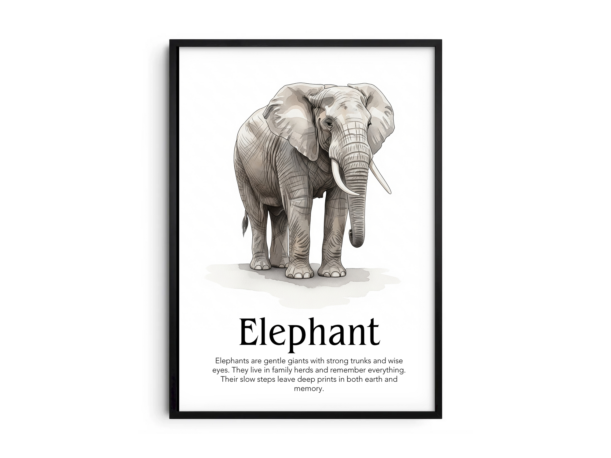 Detailed hand-illustrated Educational Elephant Animal Poster for the letter 'E', printed on semi-gloss sustainable paper. Perfect wall art for children's rooms, nurseries, or playrooms with an educational and nature-inspired aesthetic.