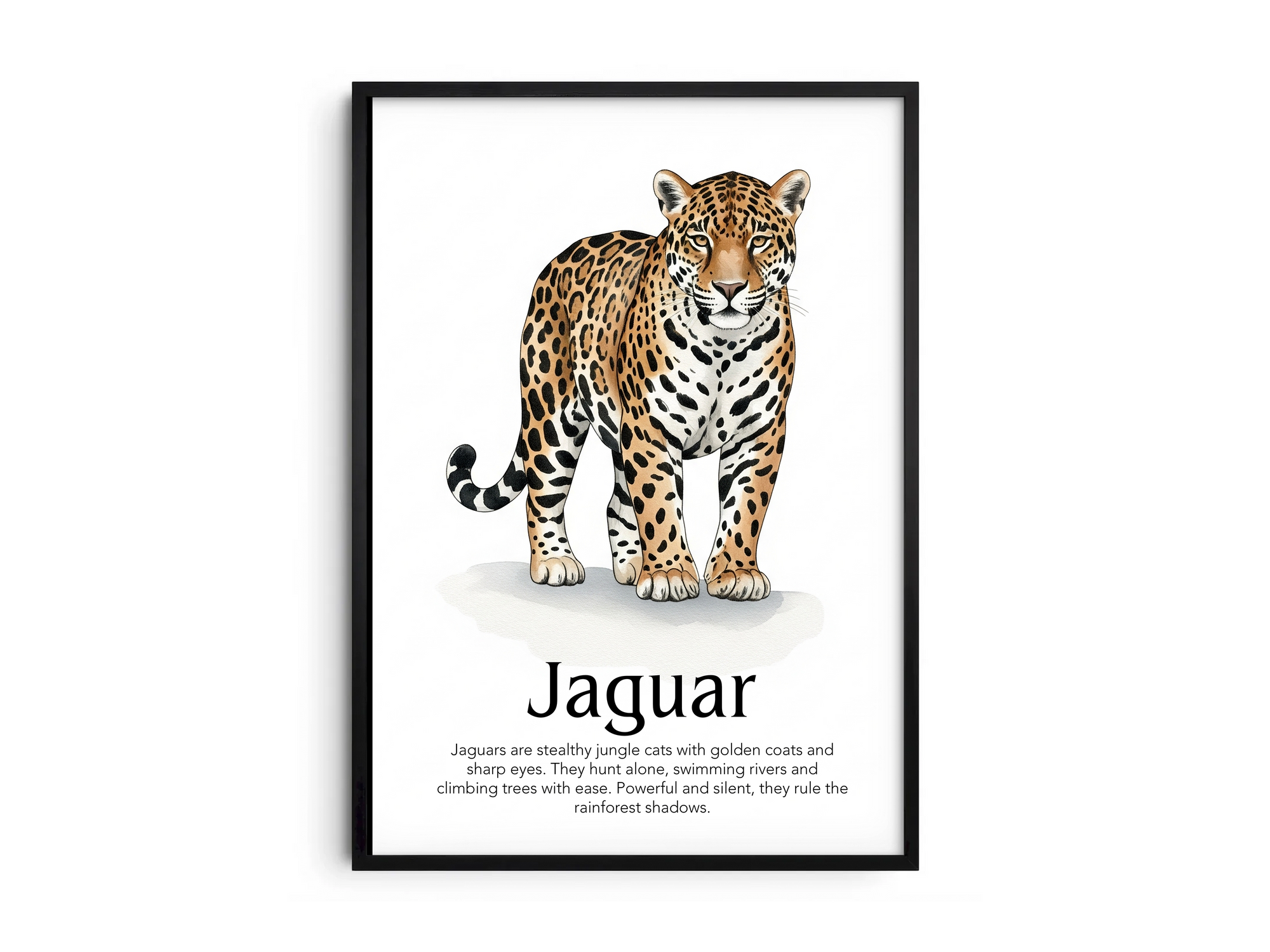 Detailed hand-illustrated Educational Jaguar Animal Poster for the letter 'J', printed on semi-gloss sustainable paper. Perfect wall art for children's rooms, nurseries, or playrooms with an educational and nature-inspired aesthetic.