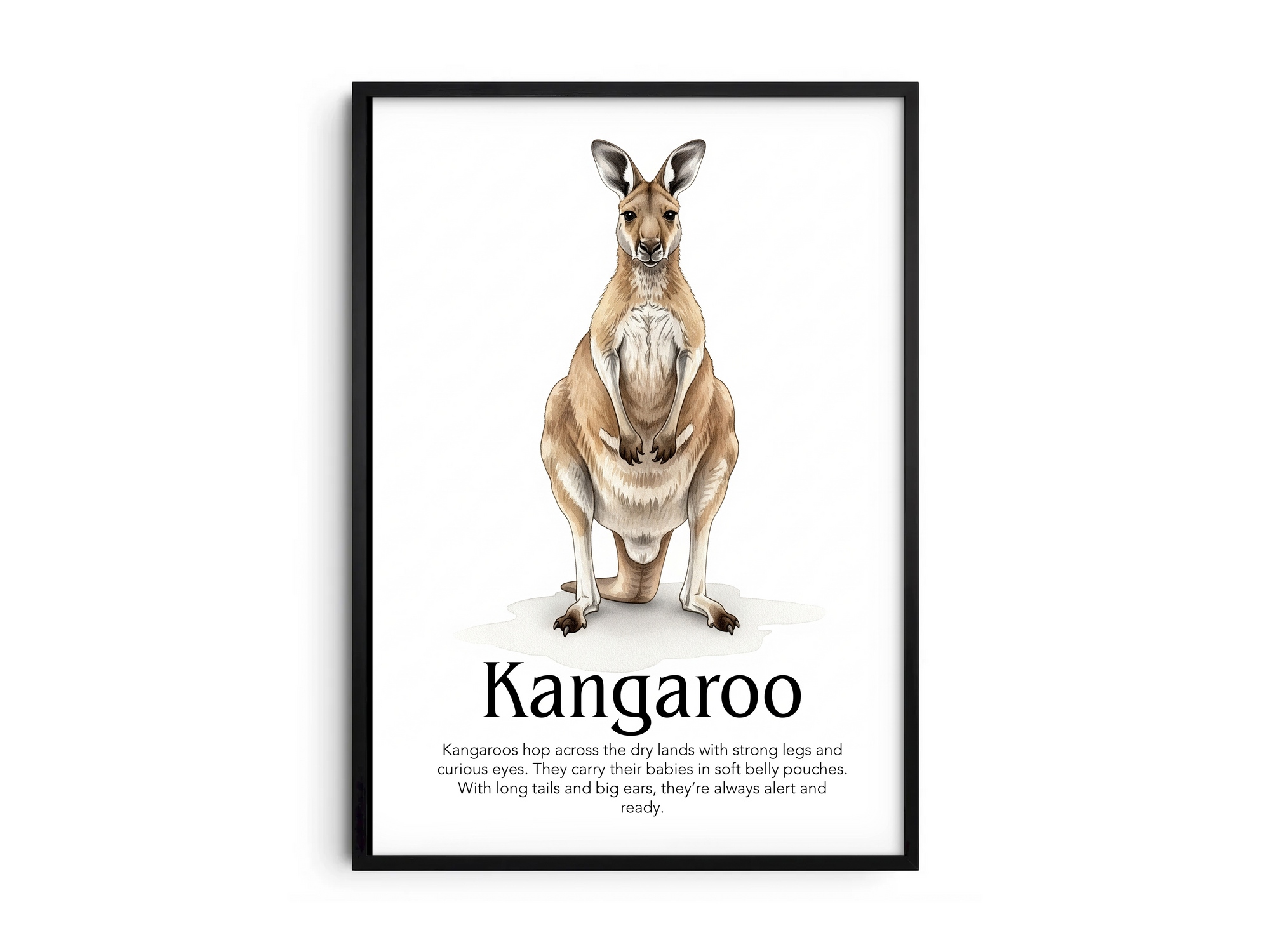 Detailed hand-illustrated Educational Kangaroo Animal Poster for the letter 'K', printed on semi-gloss sustainable paper. Perfect wall art for children's rooms, nurseries, or playrooms with an educational and nature-inspired aesthetic.