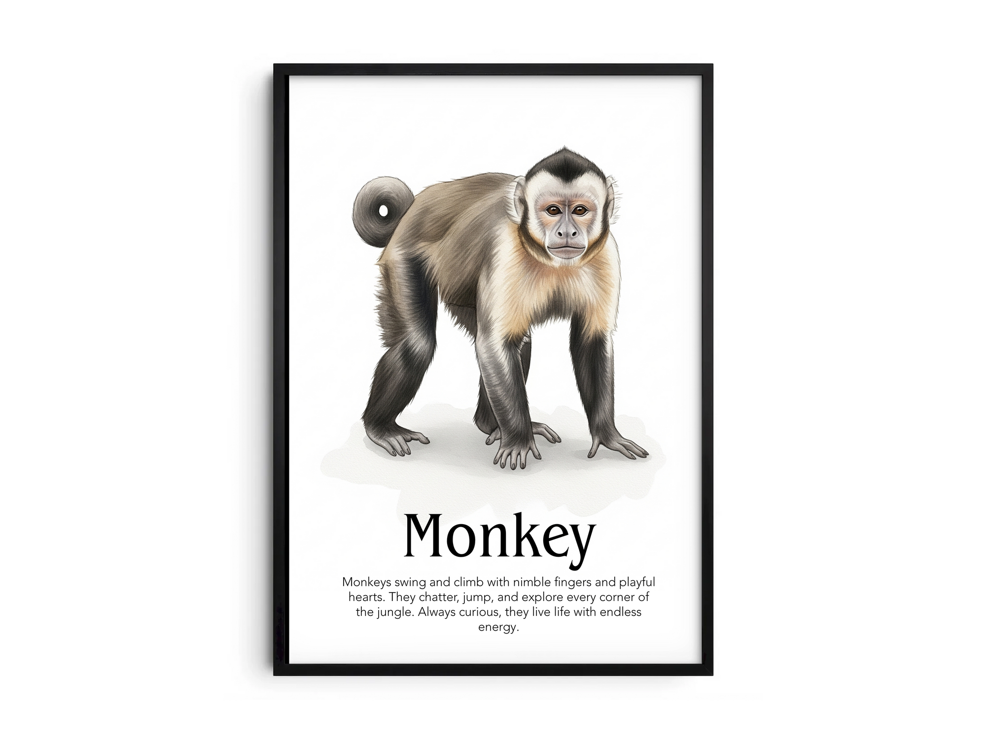 Detailed hand-illustrated Educational Monkey Animal Poster for the letter 'M', printed on semi-gloss sustainable paper. Perfect wall art for children's rooms, nurseries, or playrooms with an educational and nature-inspired aesthetic.